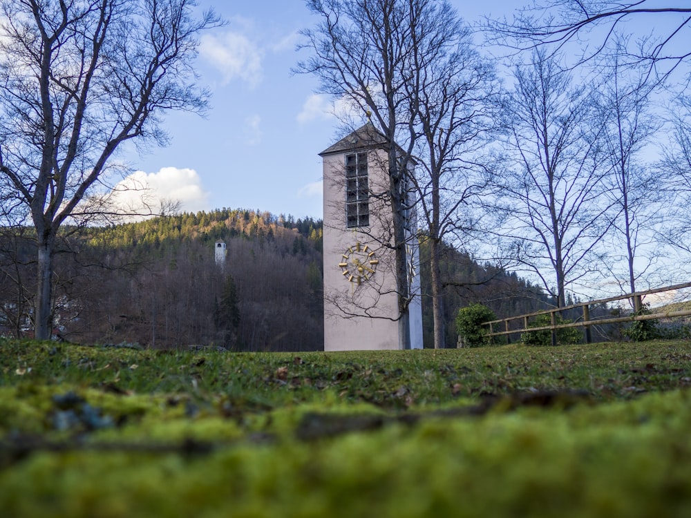 a clock tower in the middle of a grassy field