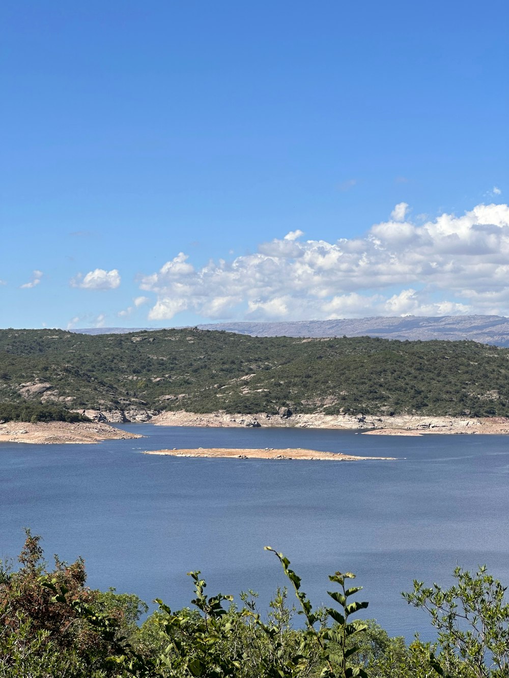 a large body of water surrounded by trees