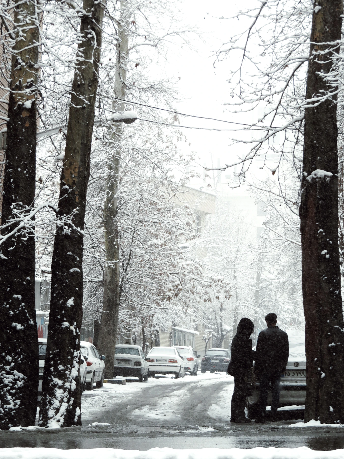 Two people standing together on a snow-covered bench in winter surrounded by a quiet snowy park landscape
