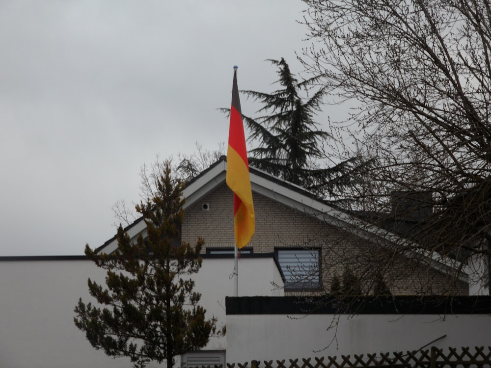 a flag on a pole in front of a house
