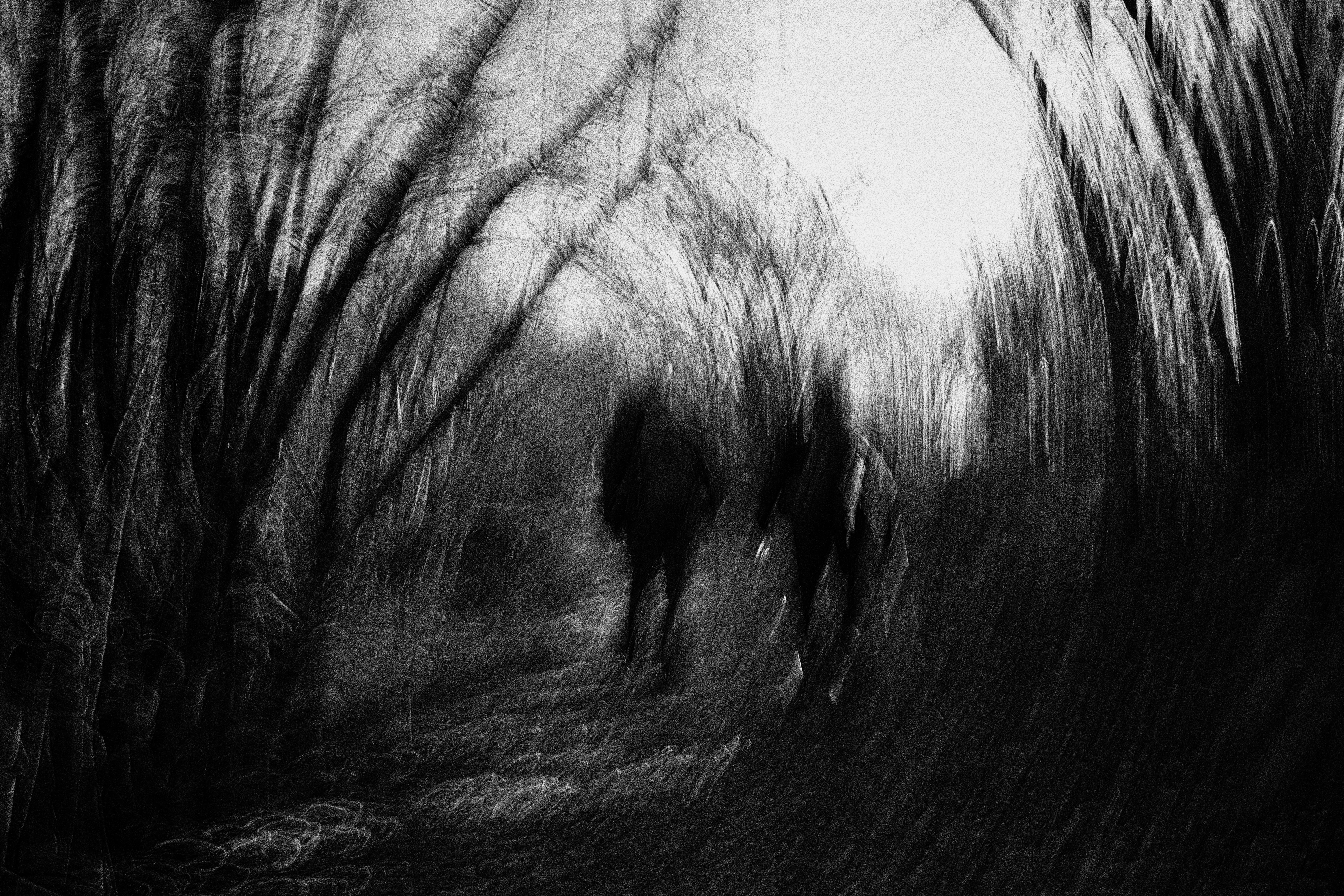 Photo by marcobian