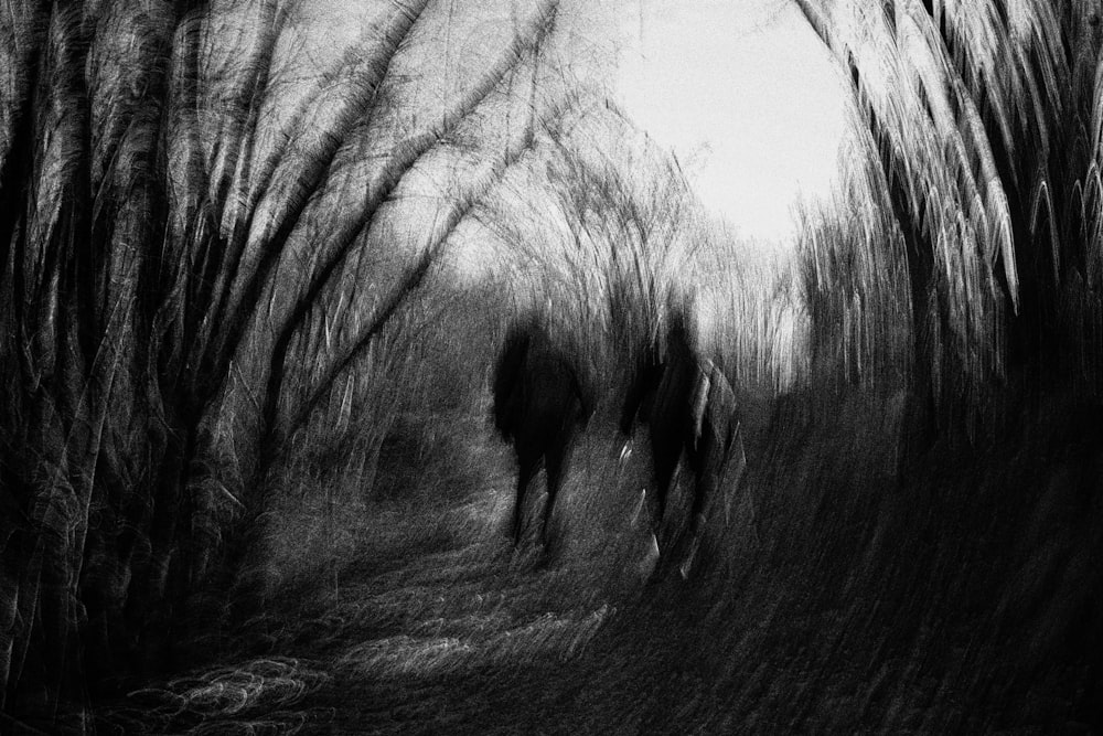 a black and white photo of two people walking through a forest