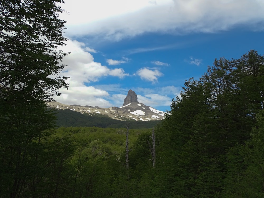 a view of a mountain through the trees