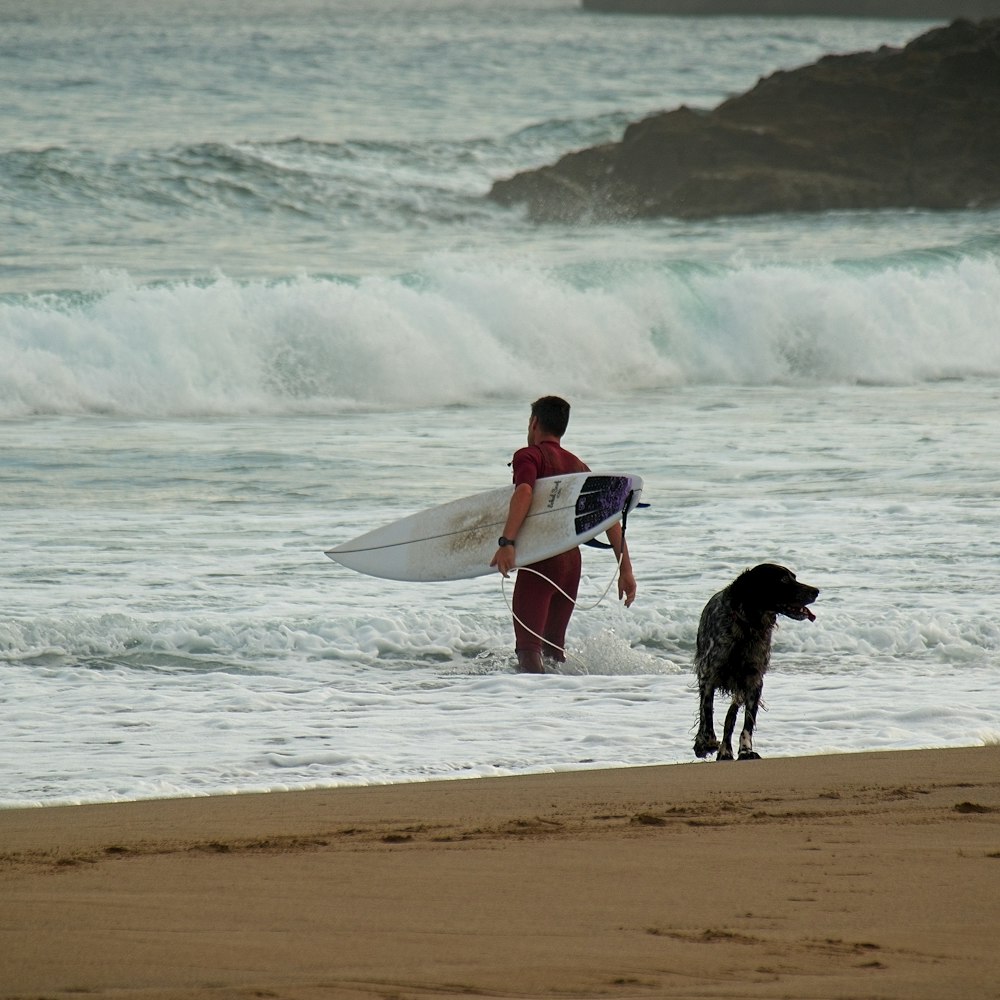 a man holding a surfboard next to a dog on a beach