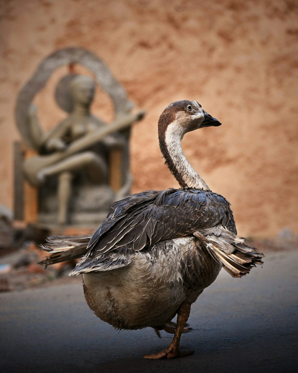 a bird standing on the ground next to a statue