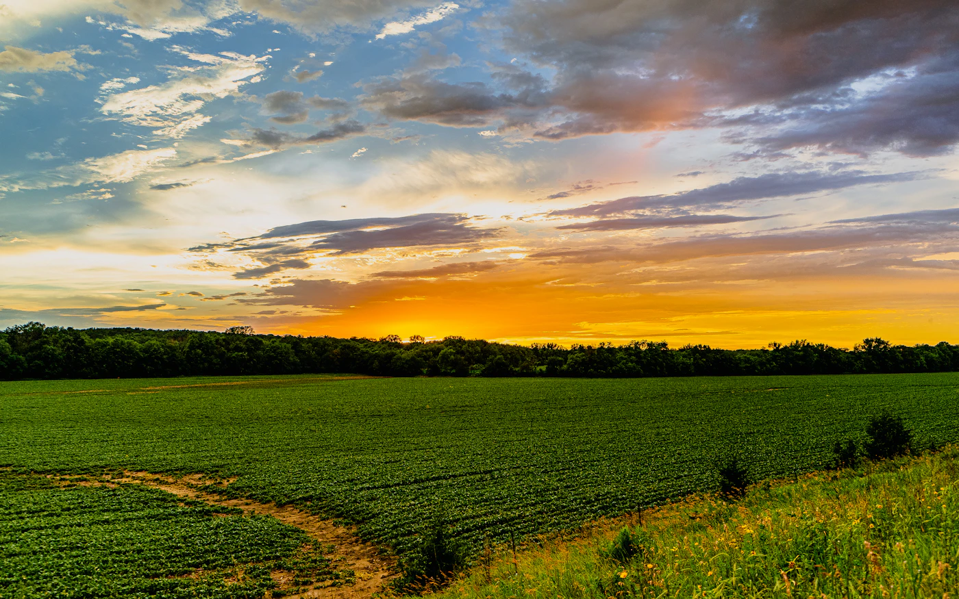 Iowa farmland at golden hour