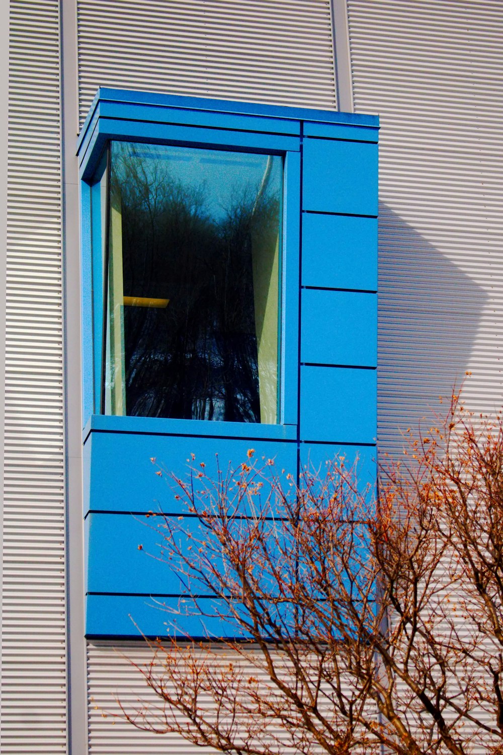 una ventana azul en un edificio junto a un árbol