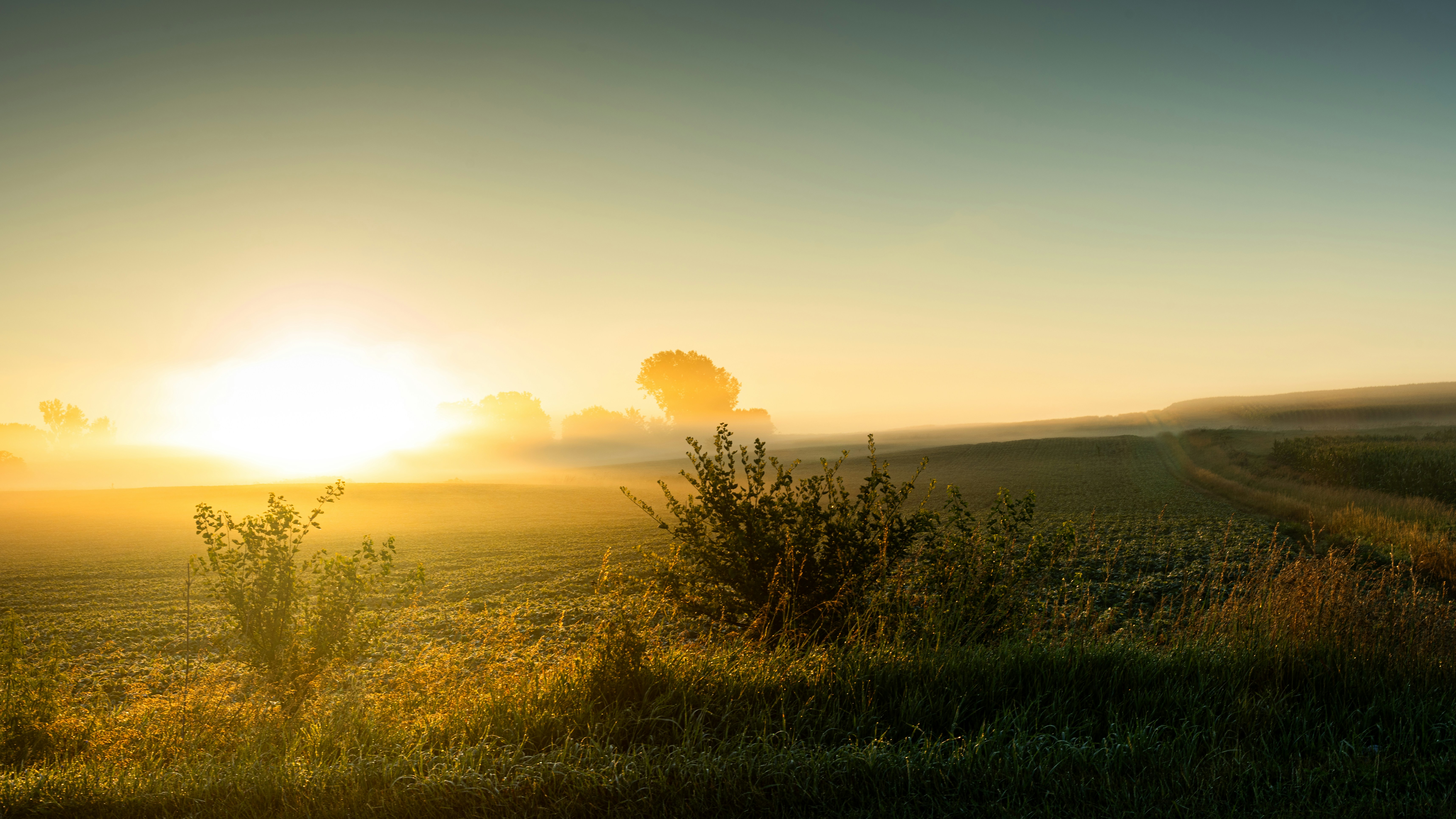 Photo by anivaltorres