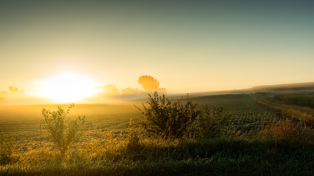 the sun is setting over a grassy field