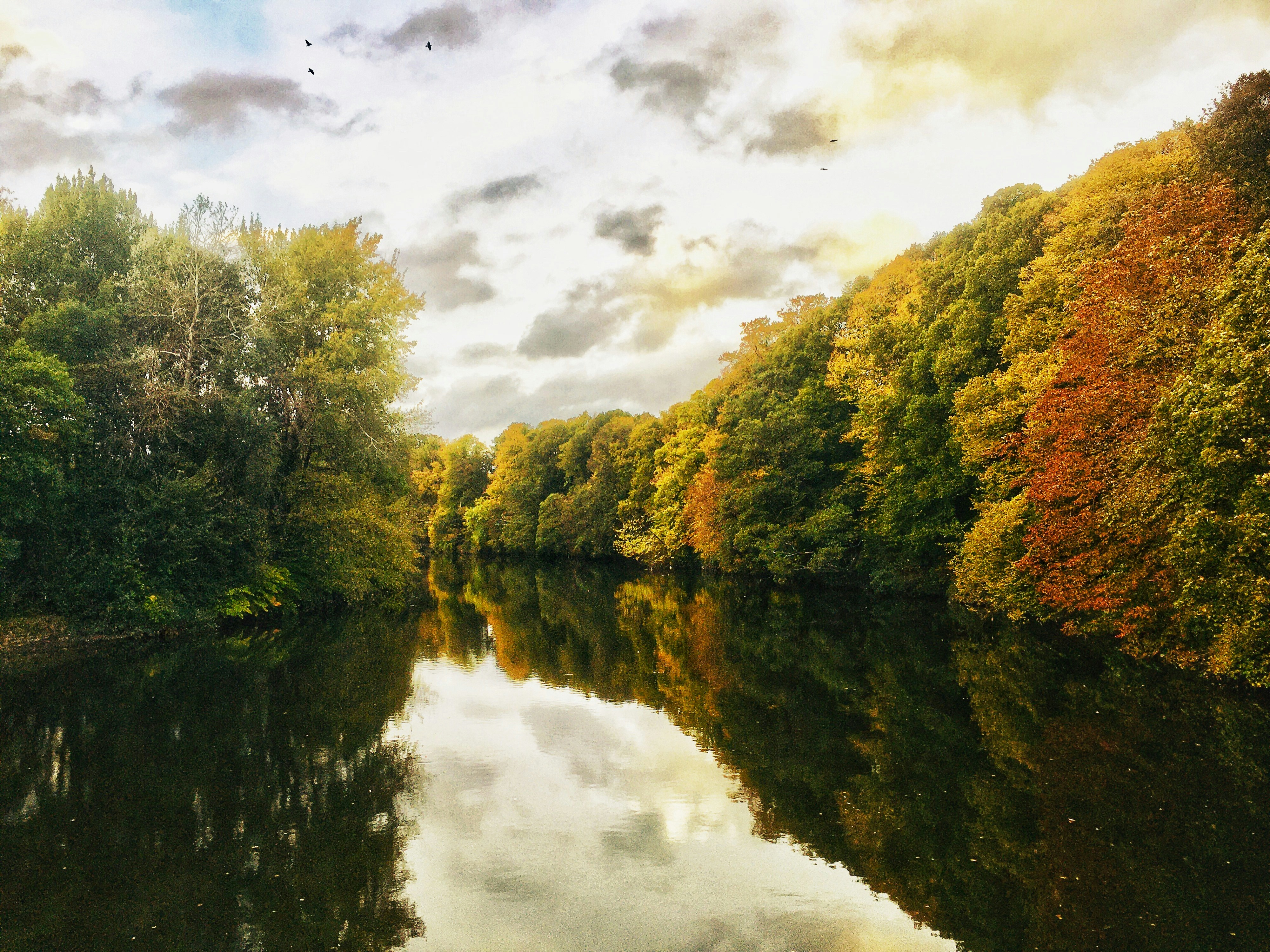 Cardiff – Natural Environment & Landscapes