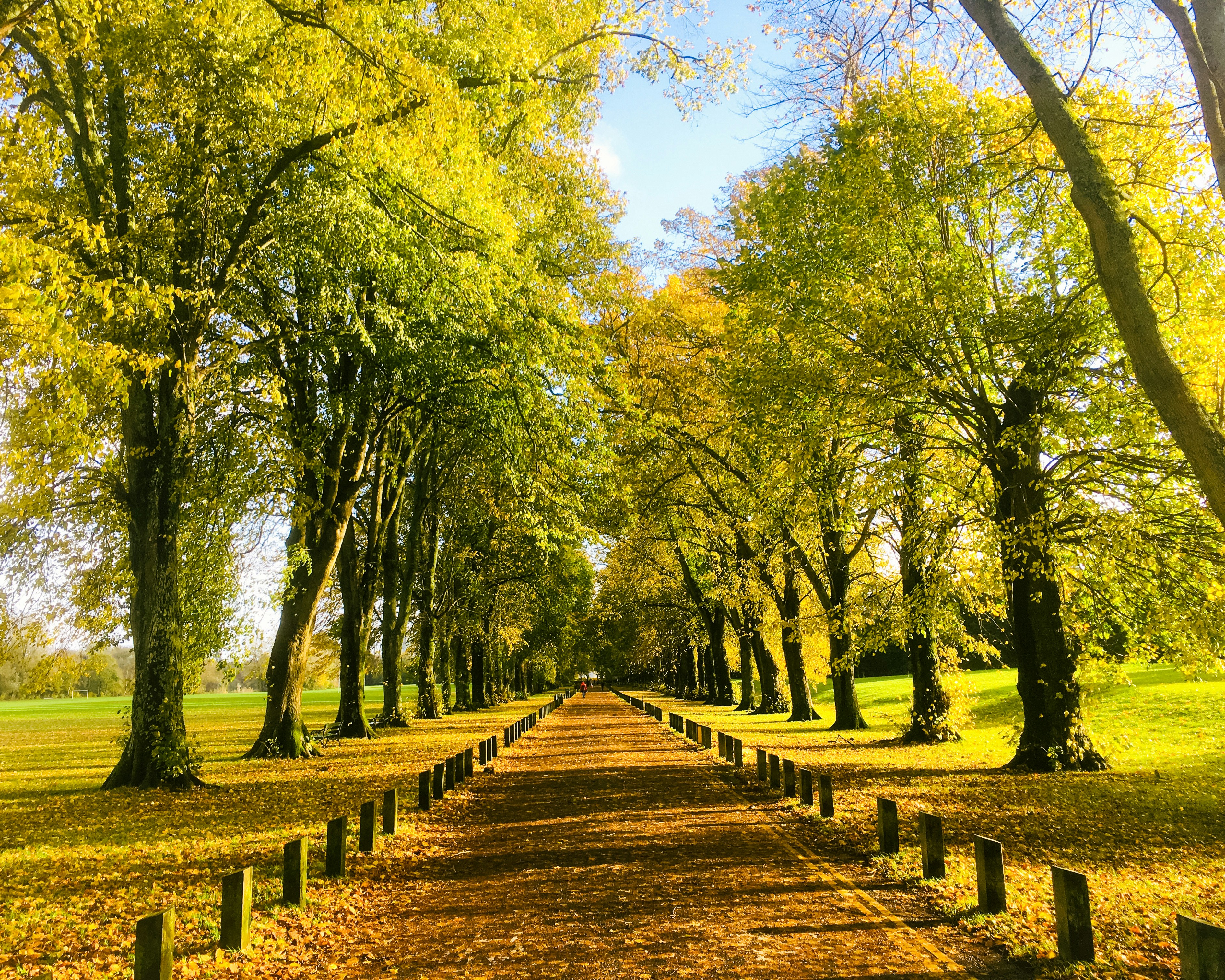 Cardiff travel photo