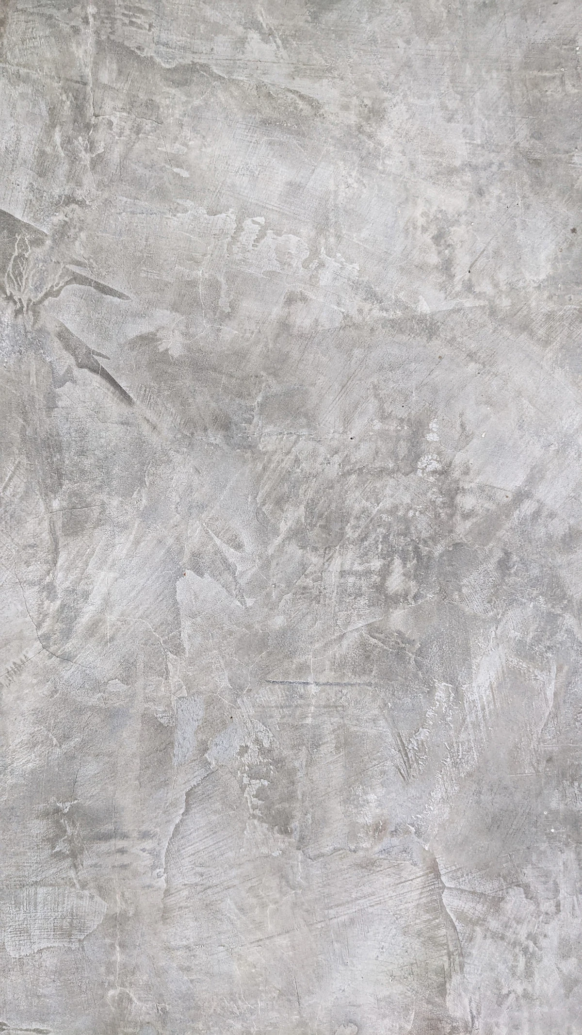 Polished plaster entry, Mosman