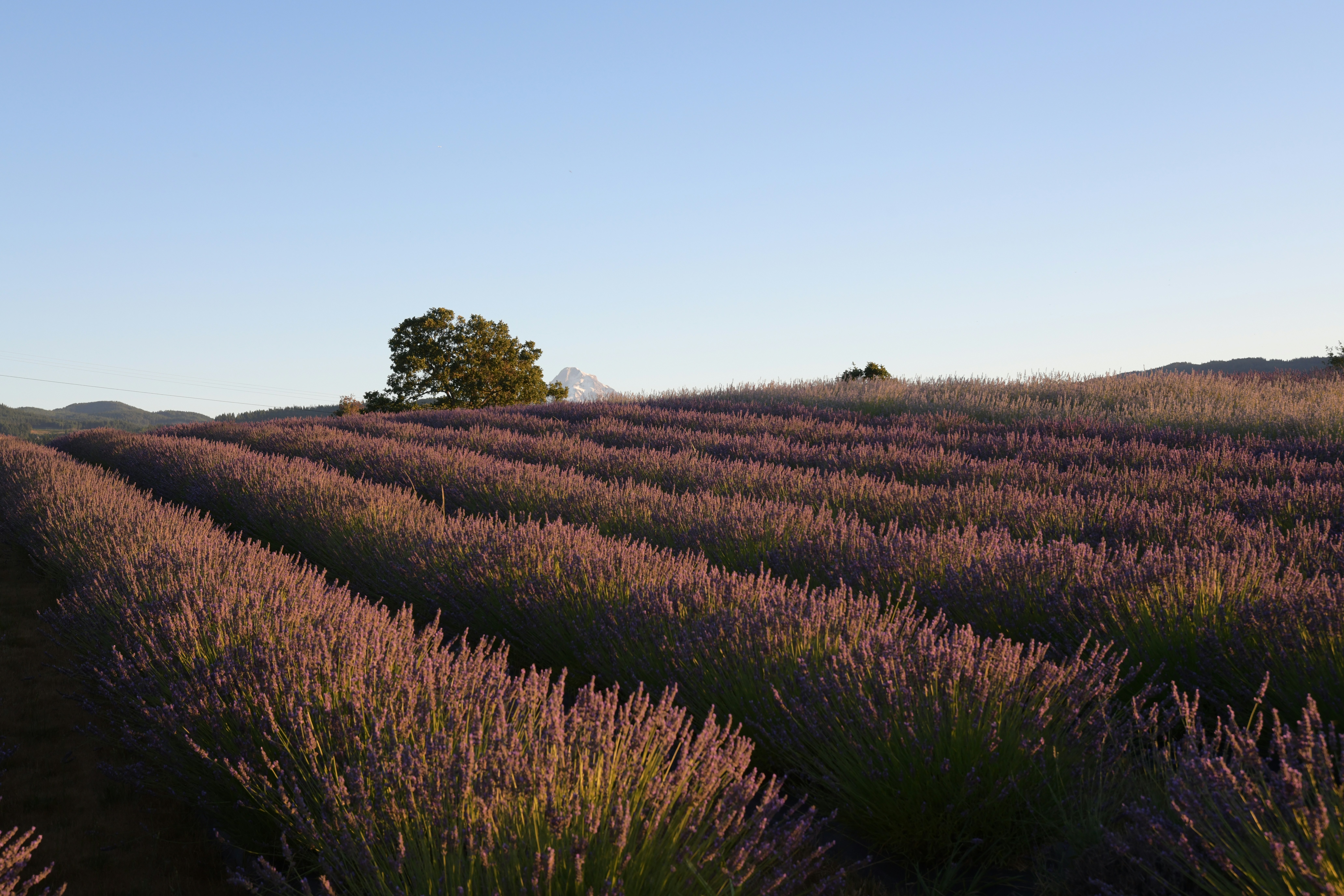 Photo by stephaniemagoulas