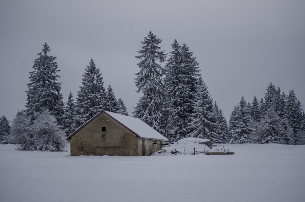 Une maison au milieu d’un champ enneigé