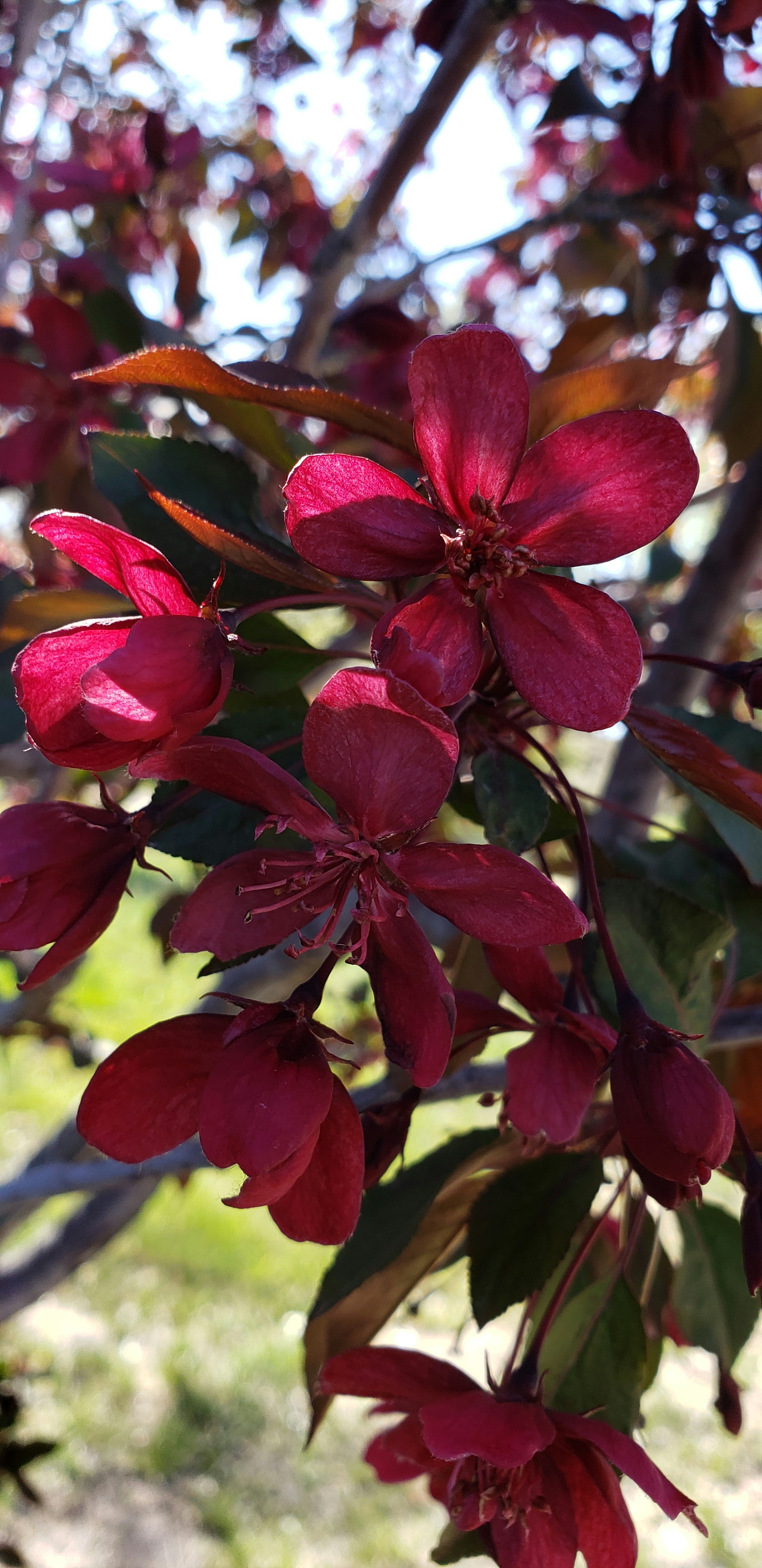 Photo by stephaniemagoulas