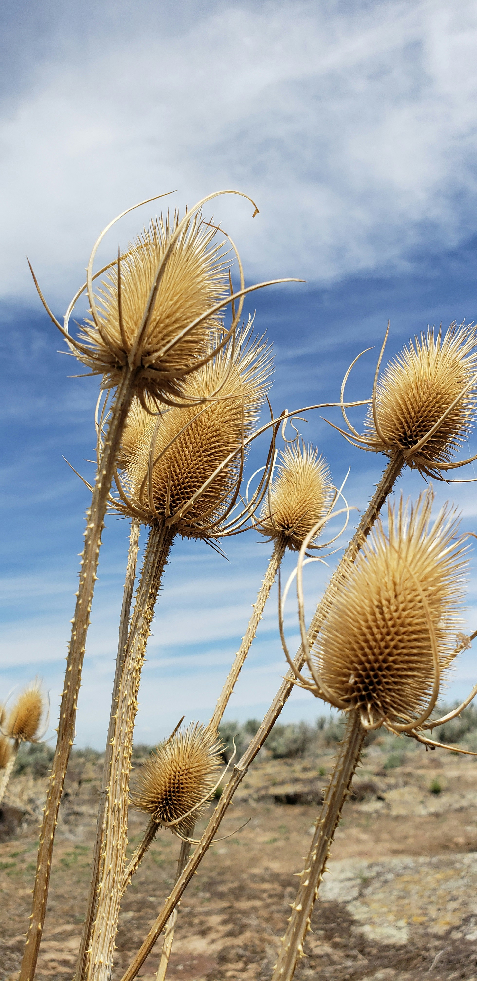 Photo by stephaniemagoulas