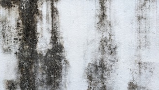 a white wall with black moldy paint on it