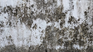 a wall that has some dirt on it