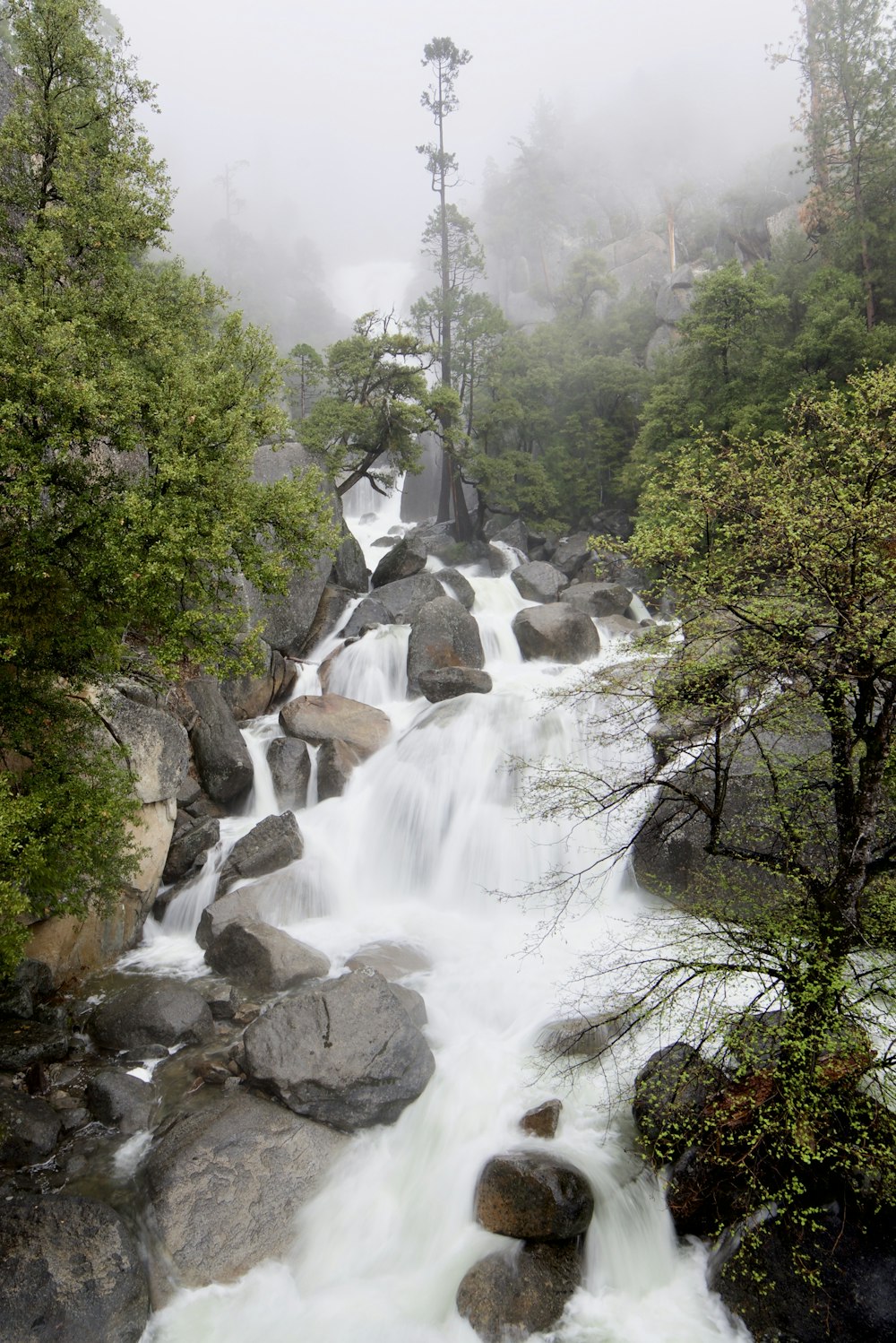 a waterfall in the middle of a forest