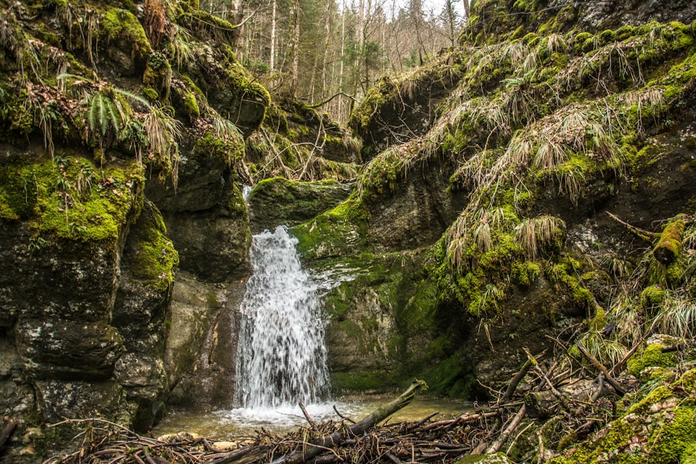 a small waterfall in the middle of a forest