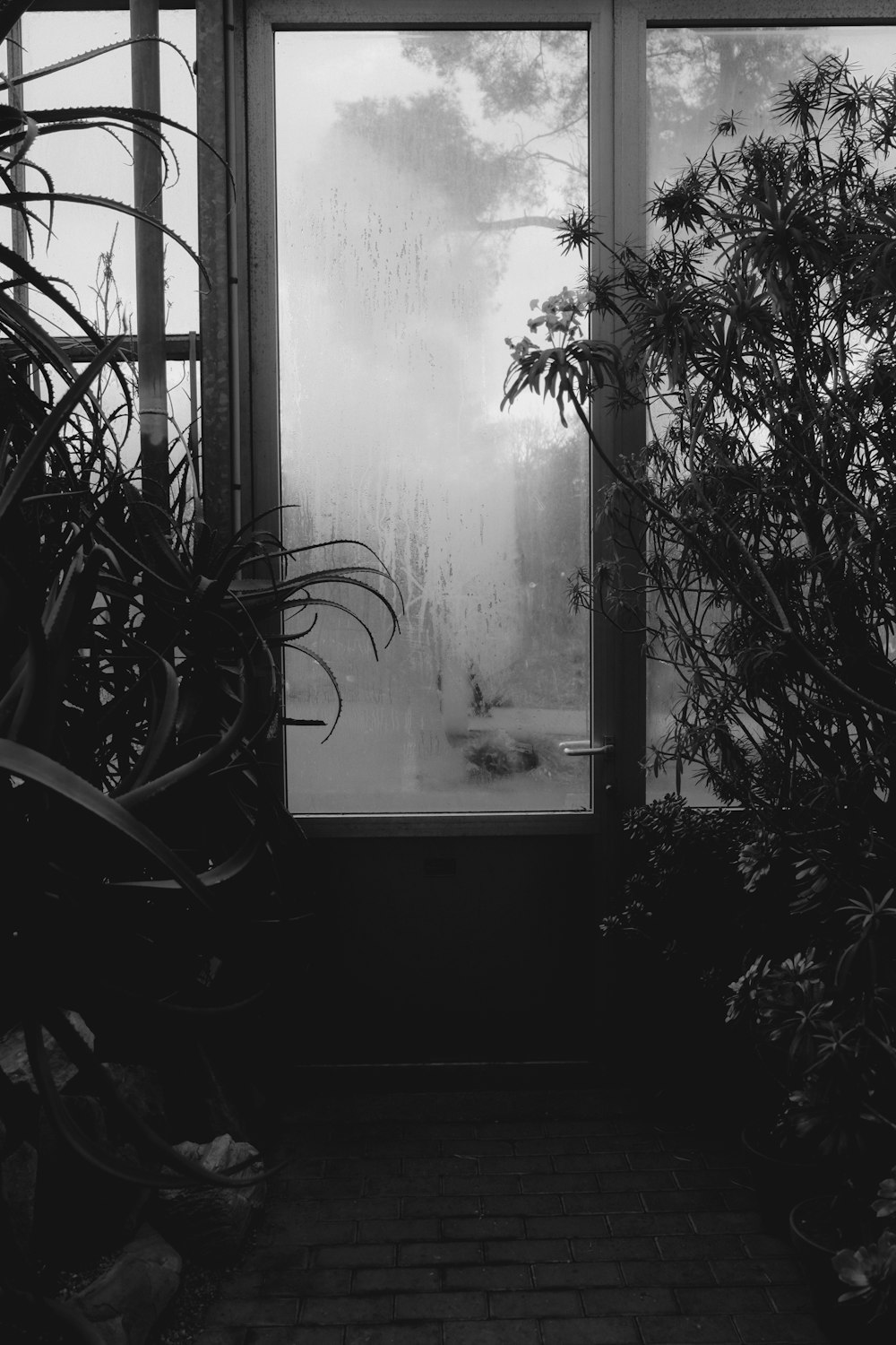 Una foto en blanco y negro de una ventana en una casa
