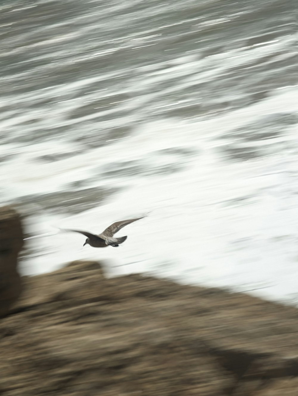 a seagull flying over a rocky cliff by the ocean