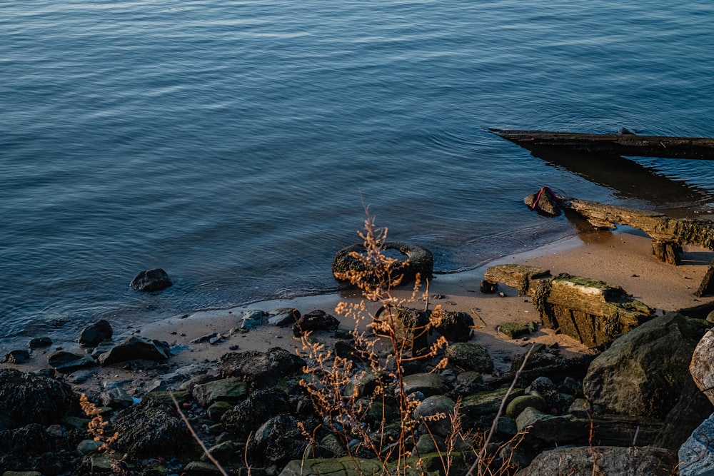 a body of water sitting next to a rocky shore