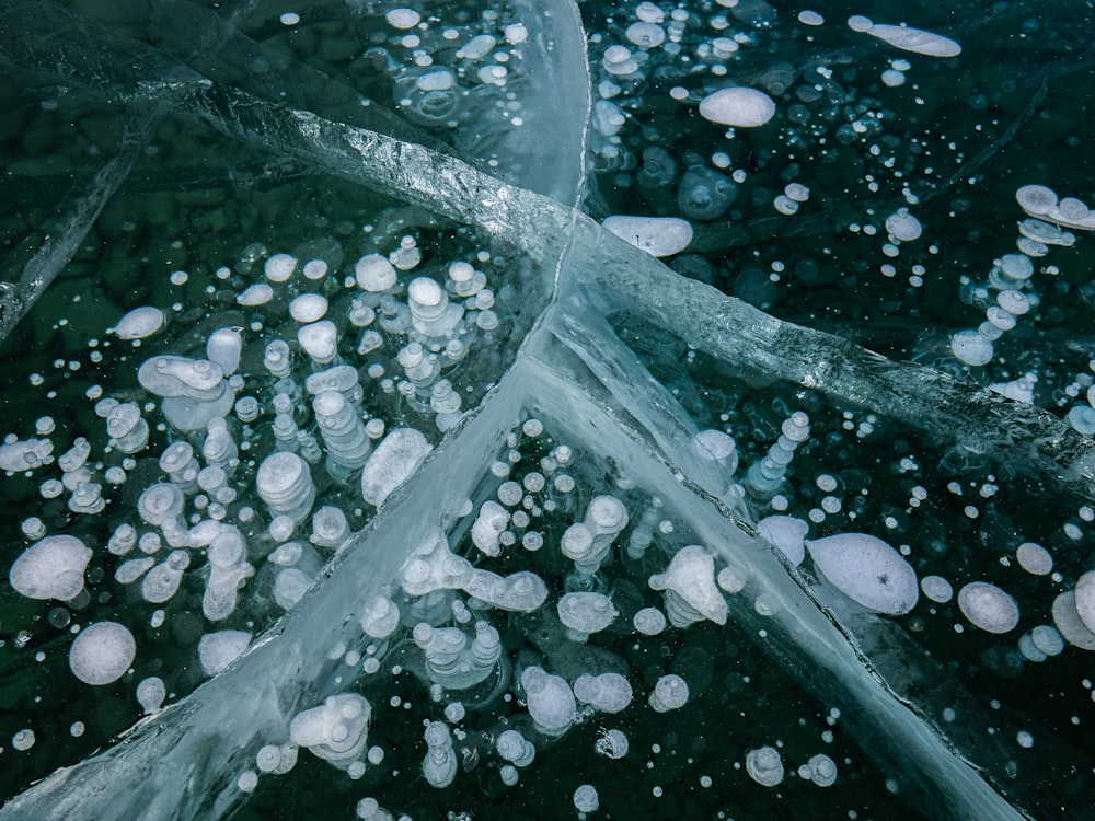 un groupe de cristaux de glace flottant au-dessus d’un plan d’eau