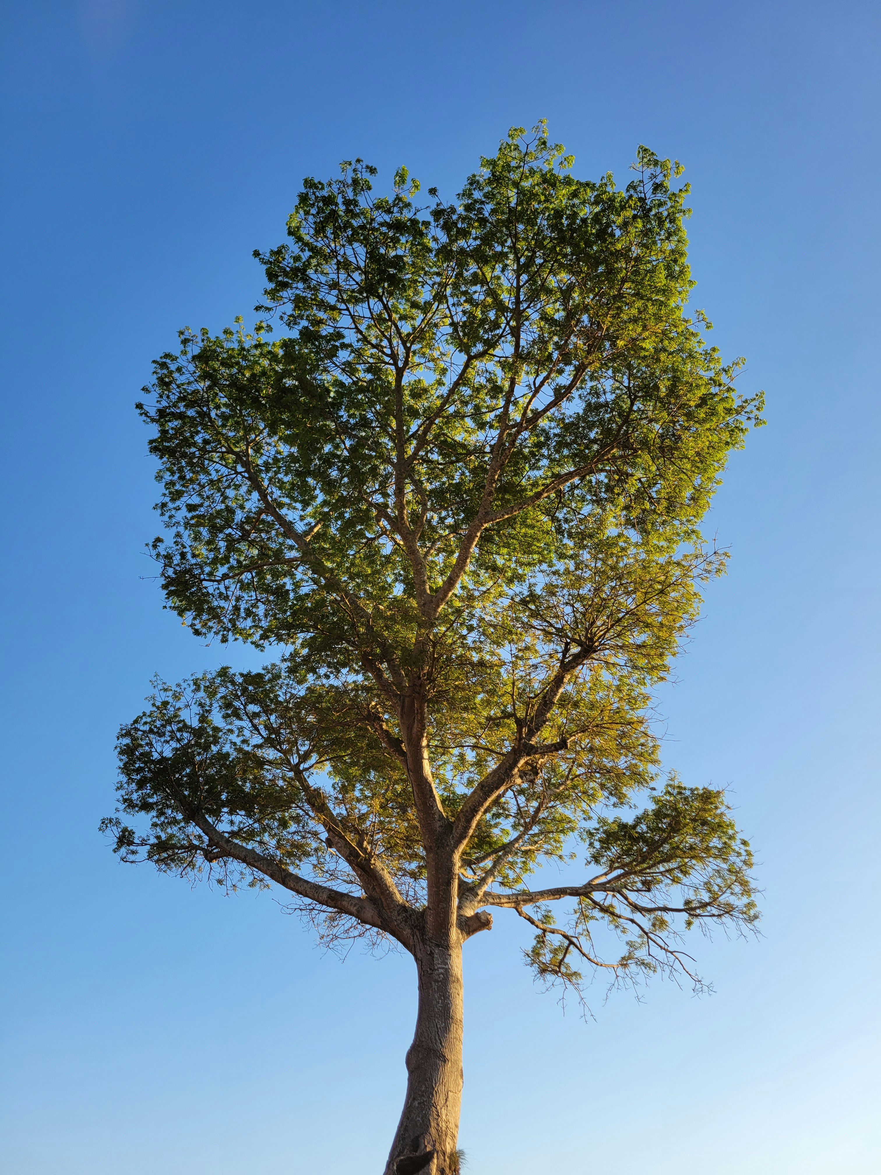 Photo by johelespana