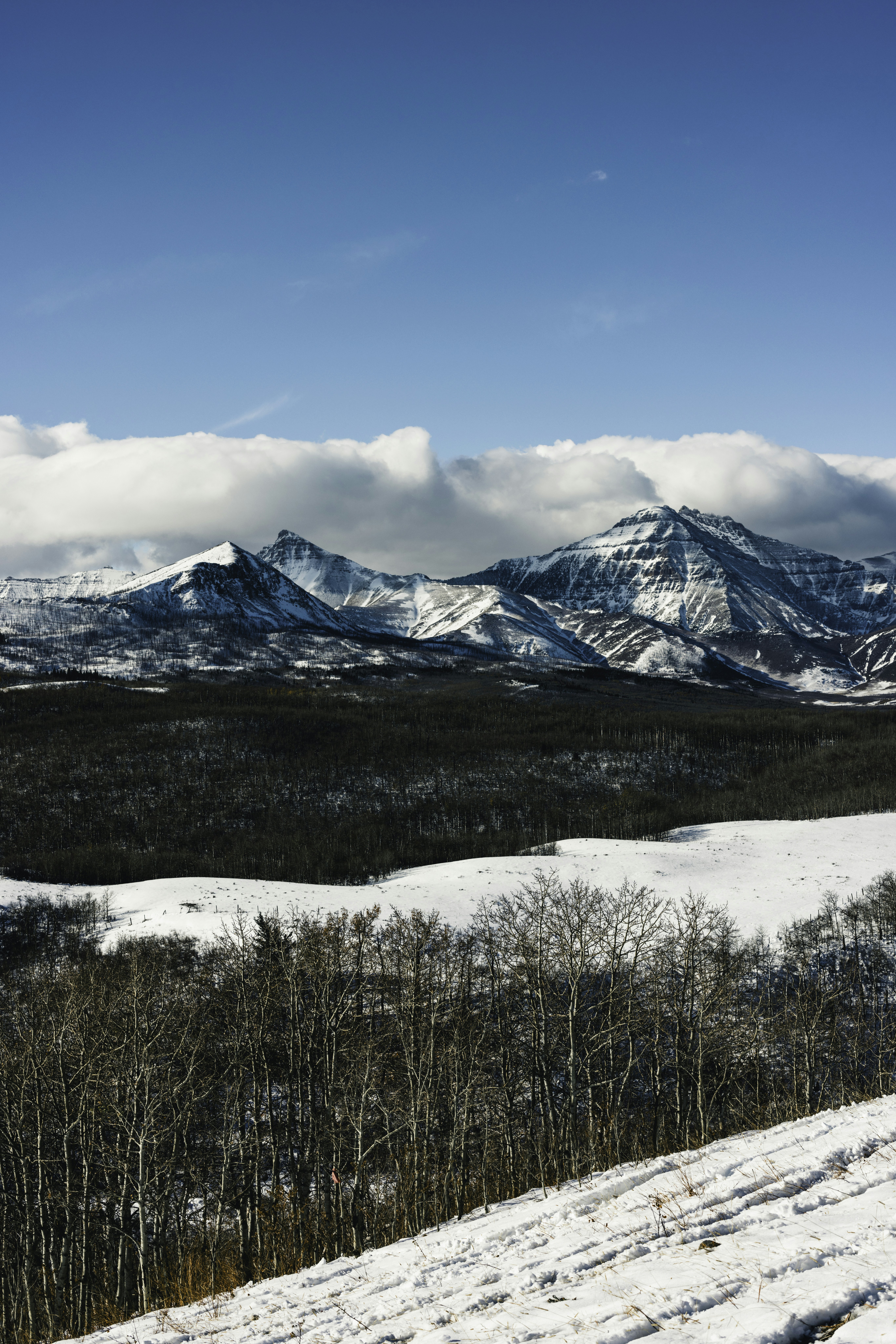 Photo by lureofadventure