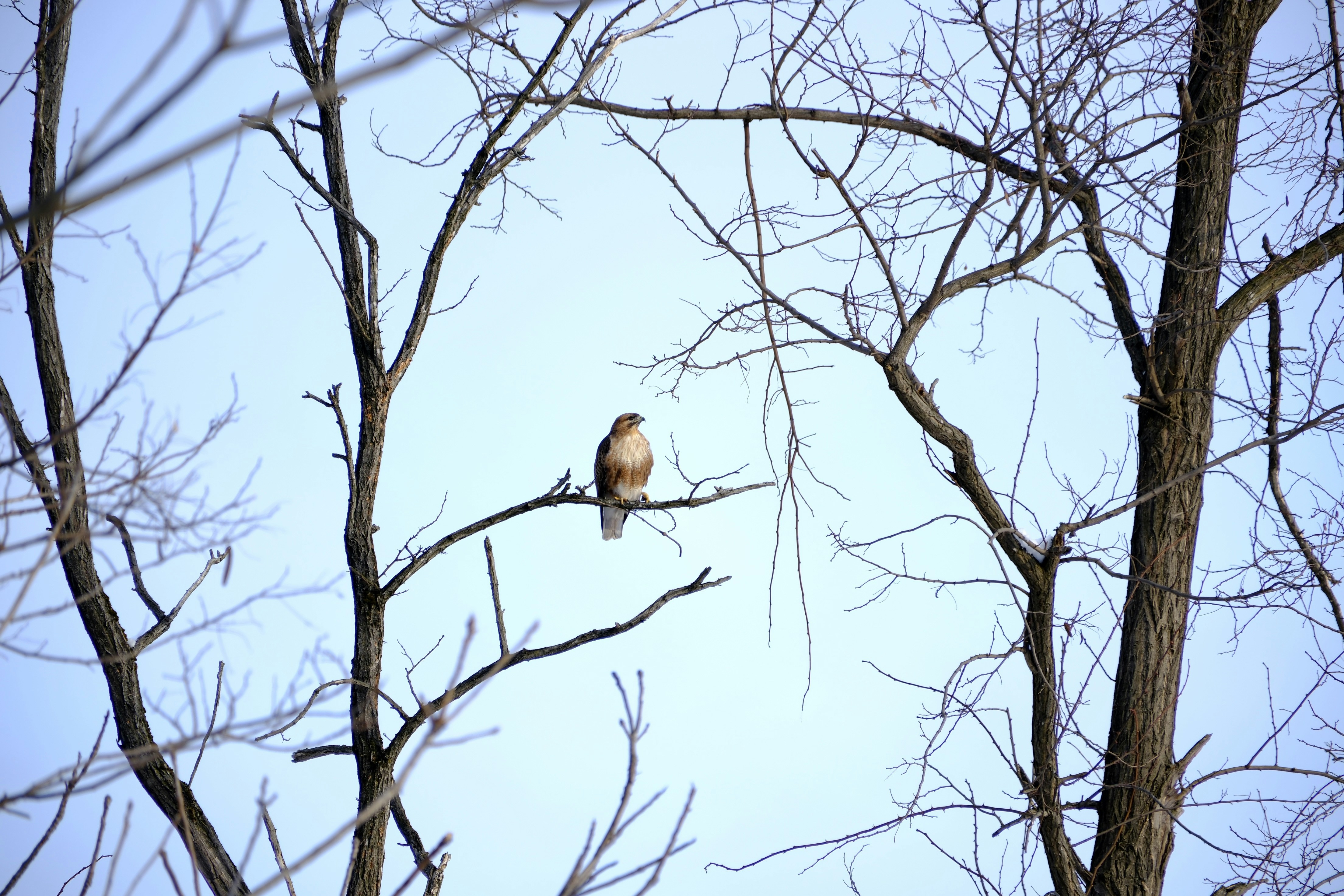 Photo by seiya_maeda