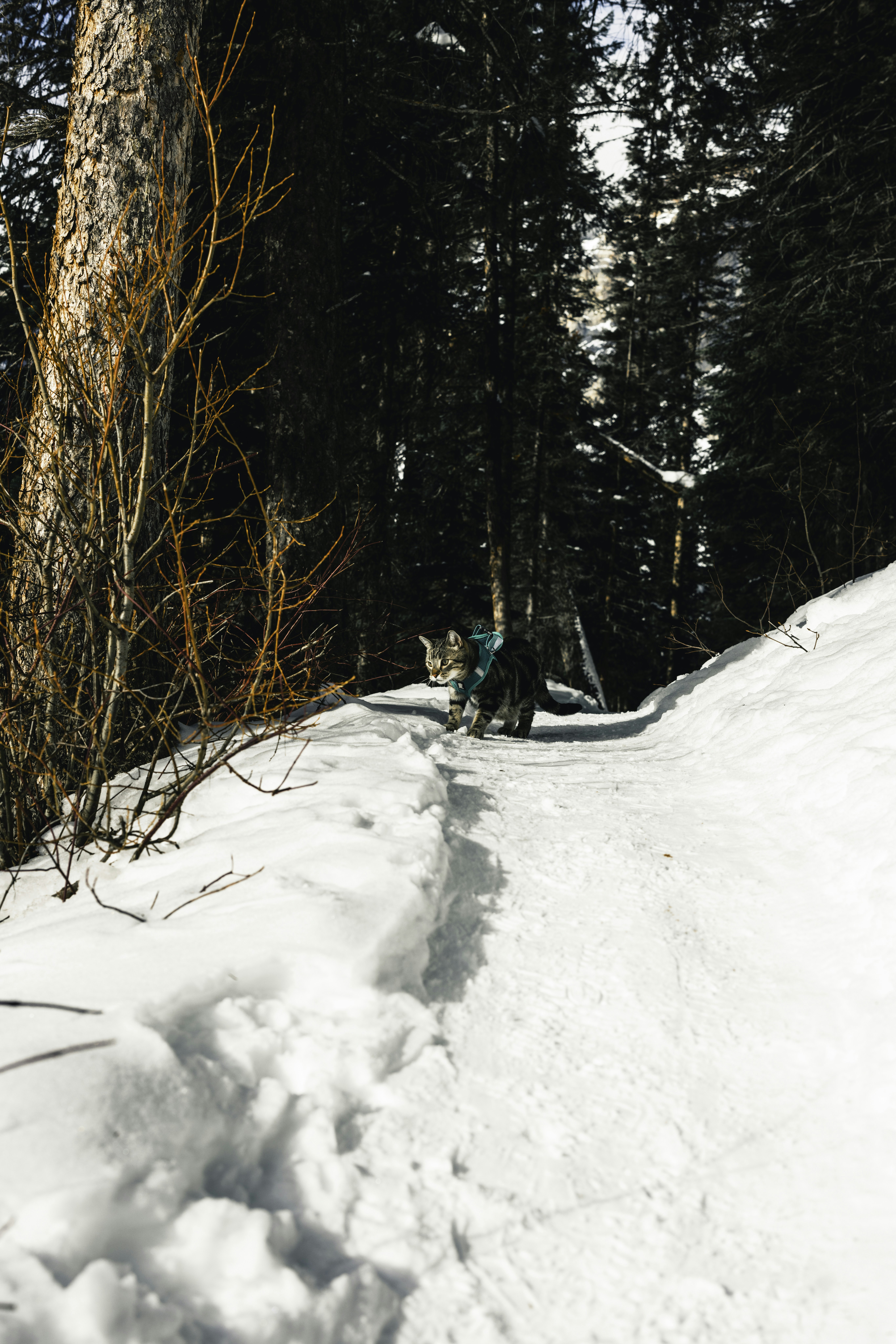 Photo by lureofadventure