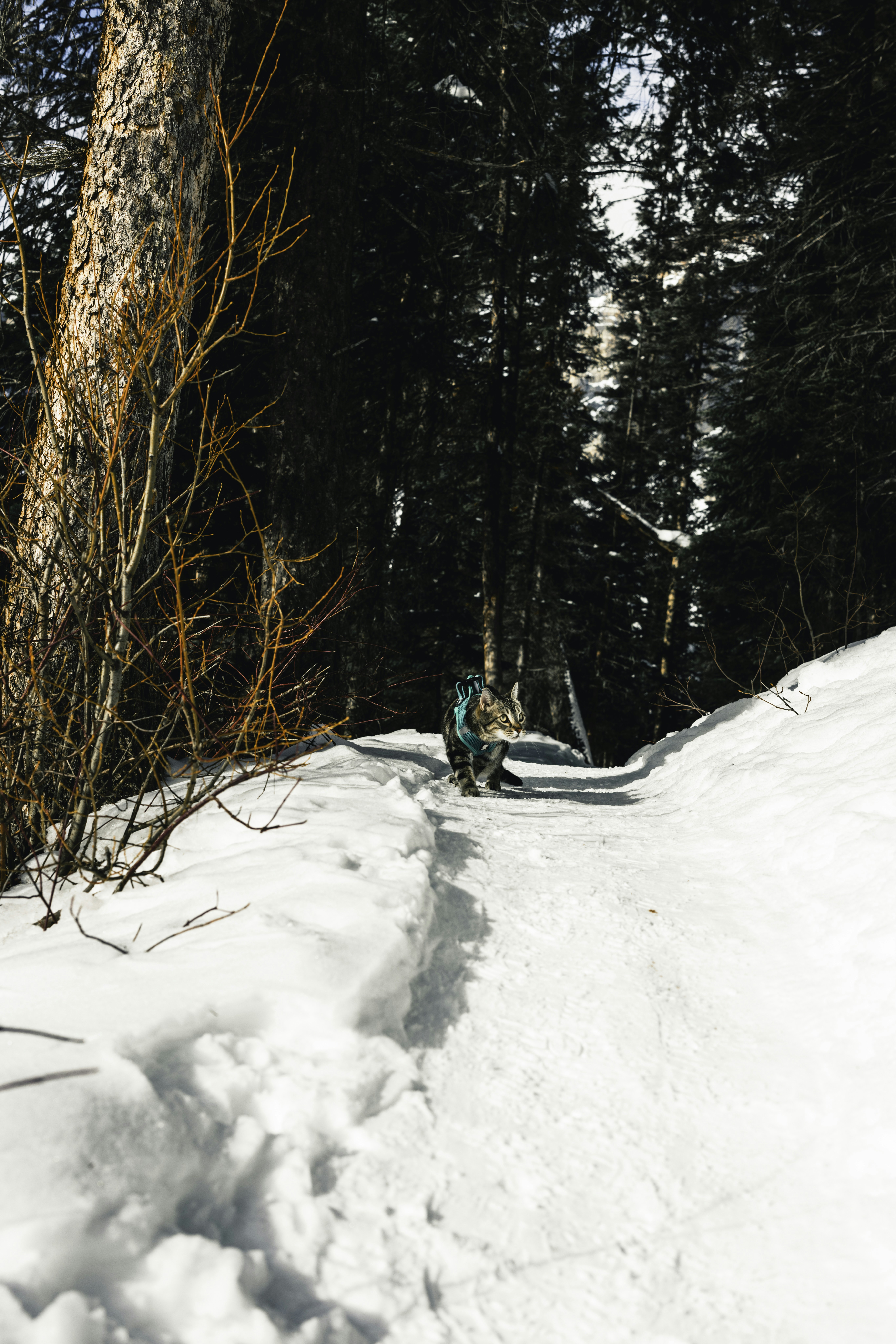 Photo by lureofadventure