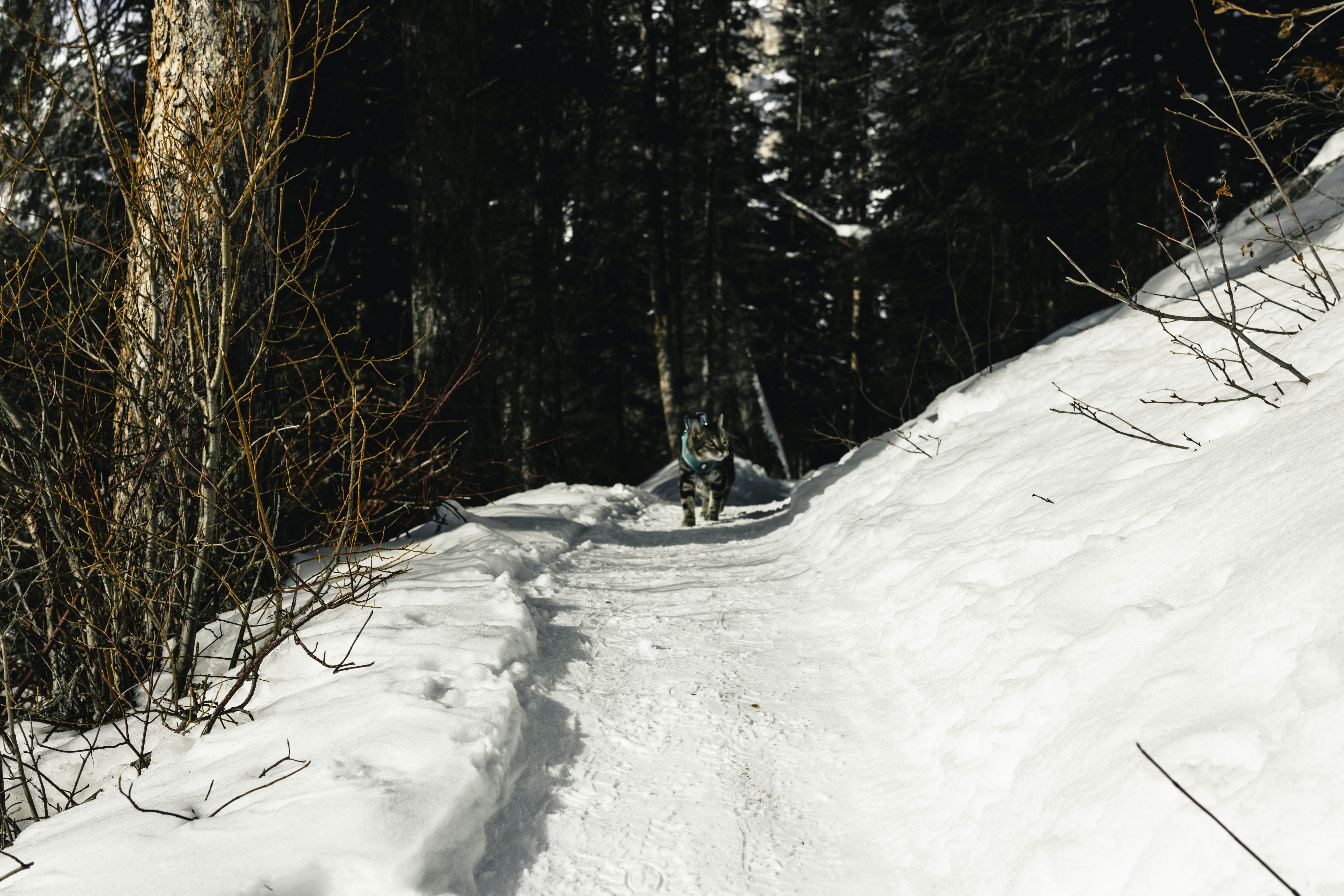 Photo by lureofadventure