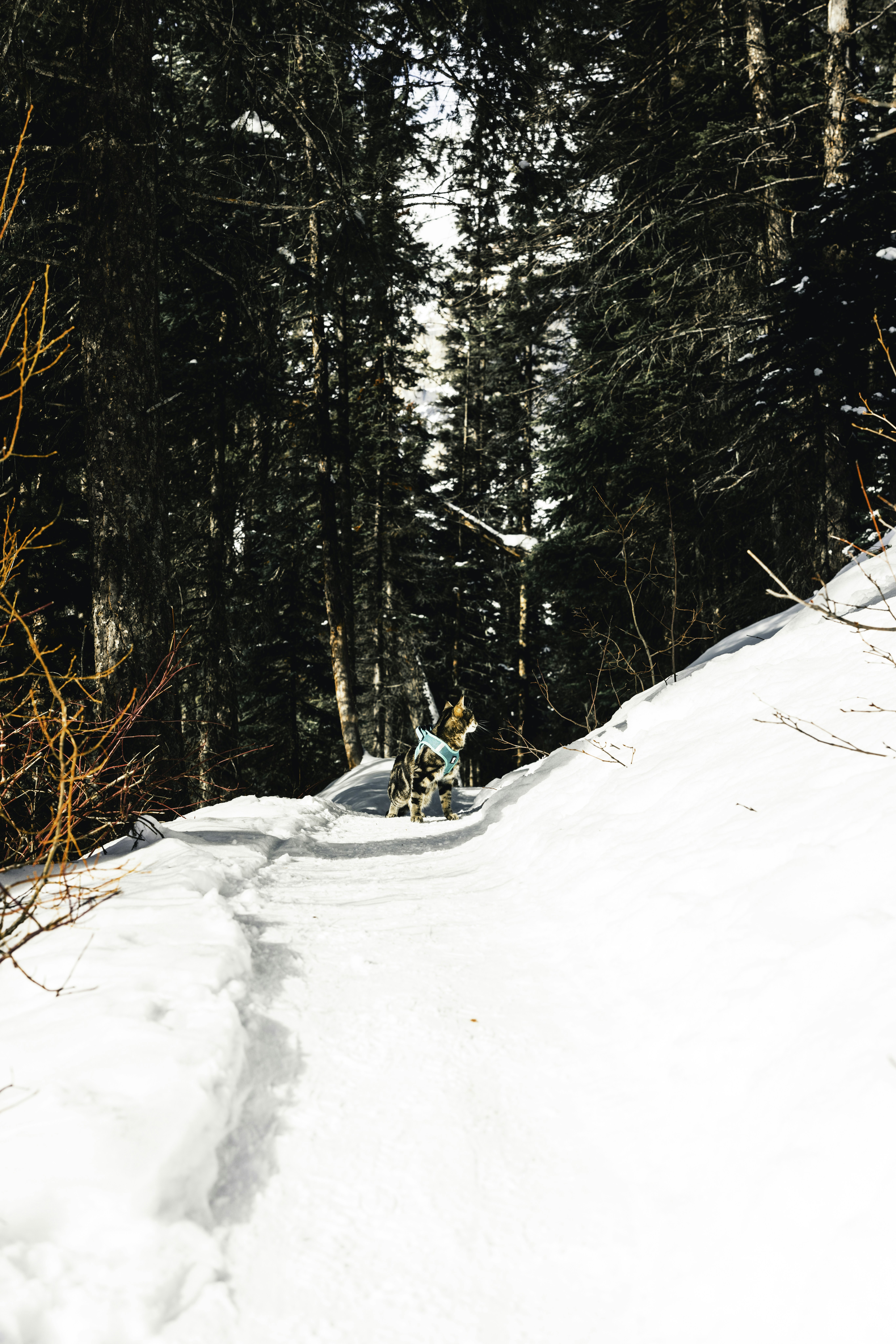 Photo by lureofadventure