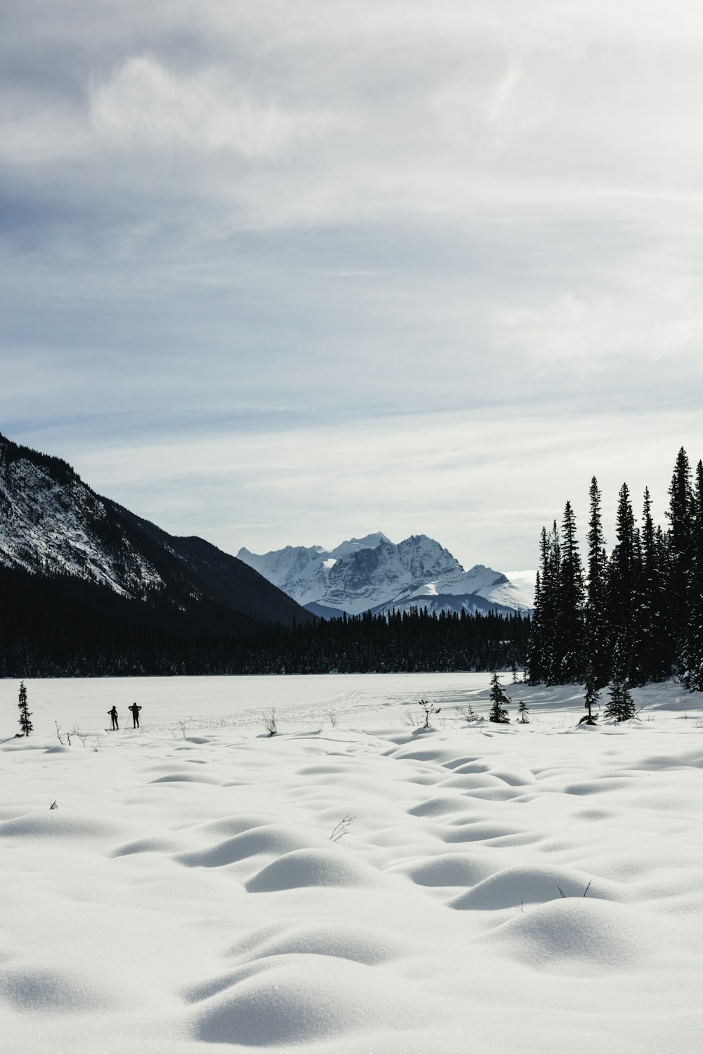 a snow covered field with trees and mountains in the background