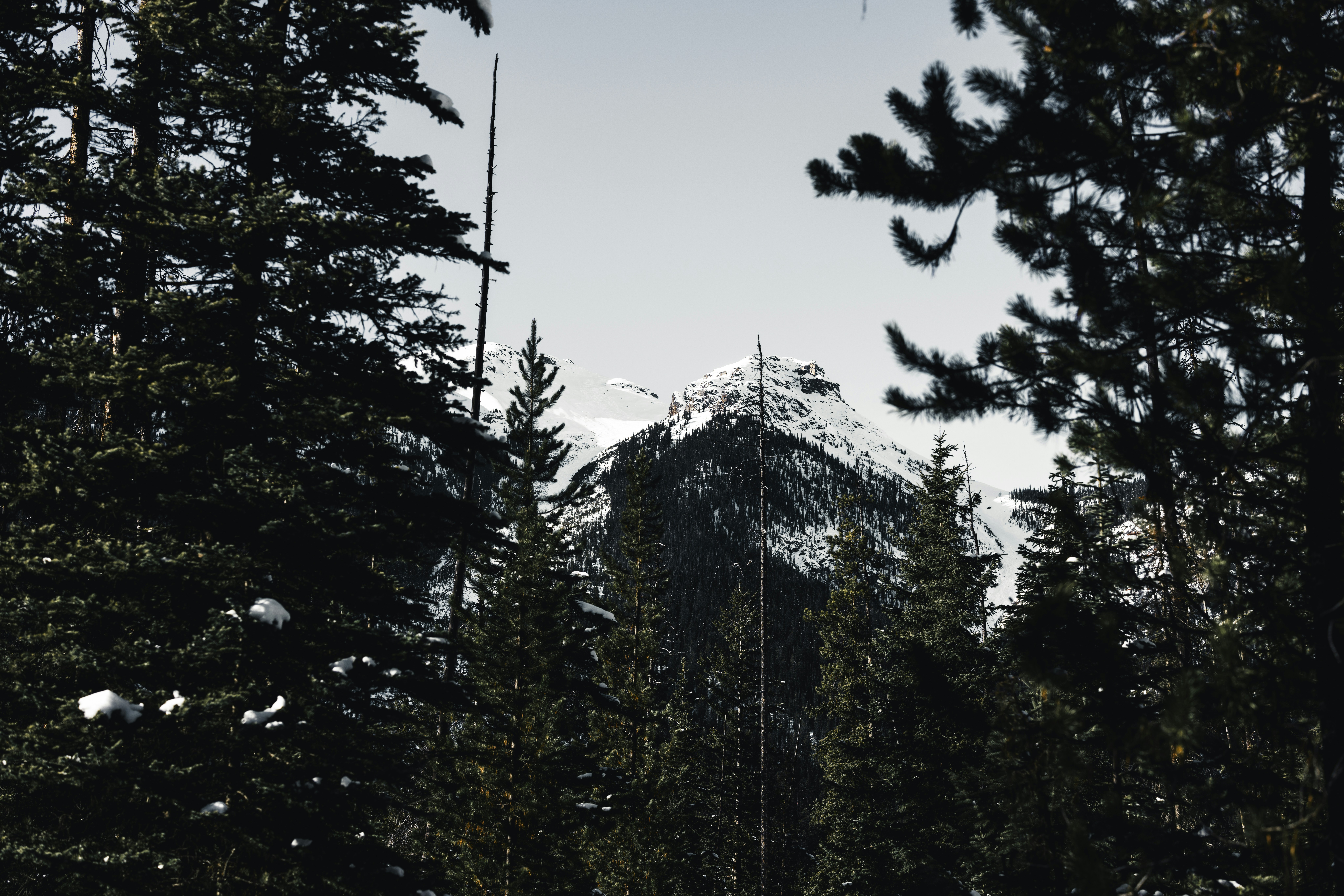 Photo by lureofadventure
