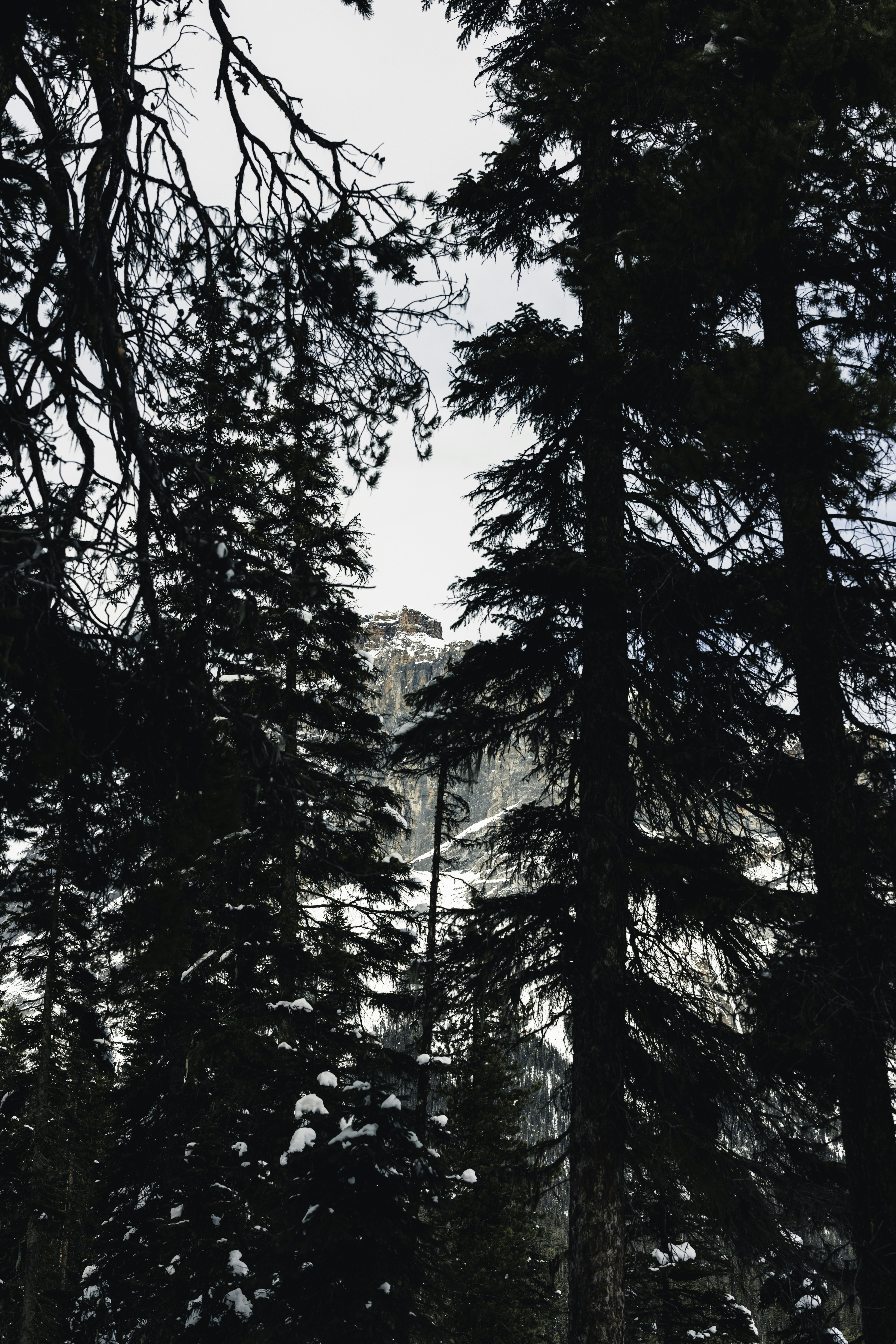 Photo by lureofadventure