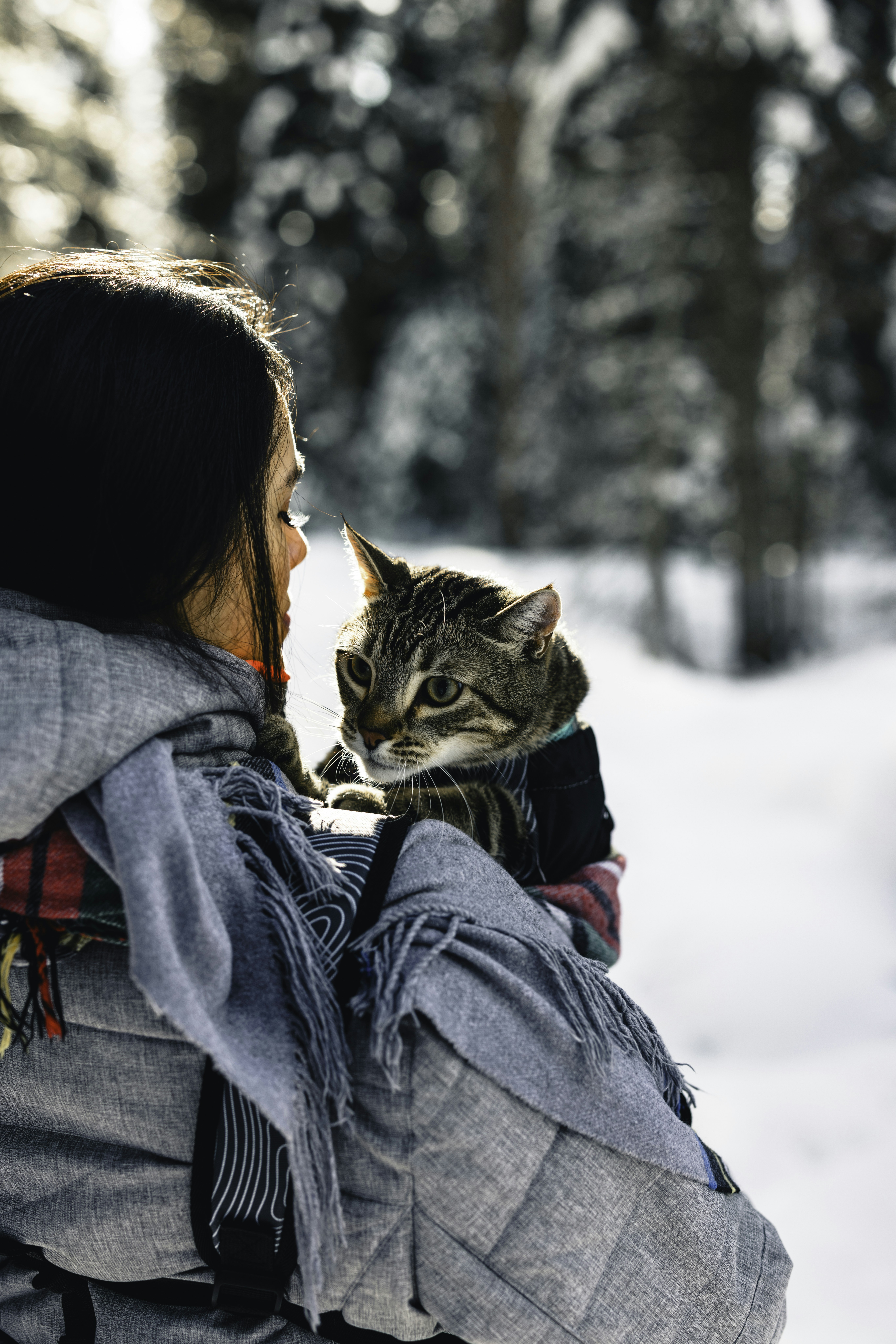 Photo by lureofadventure