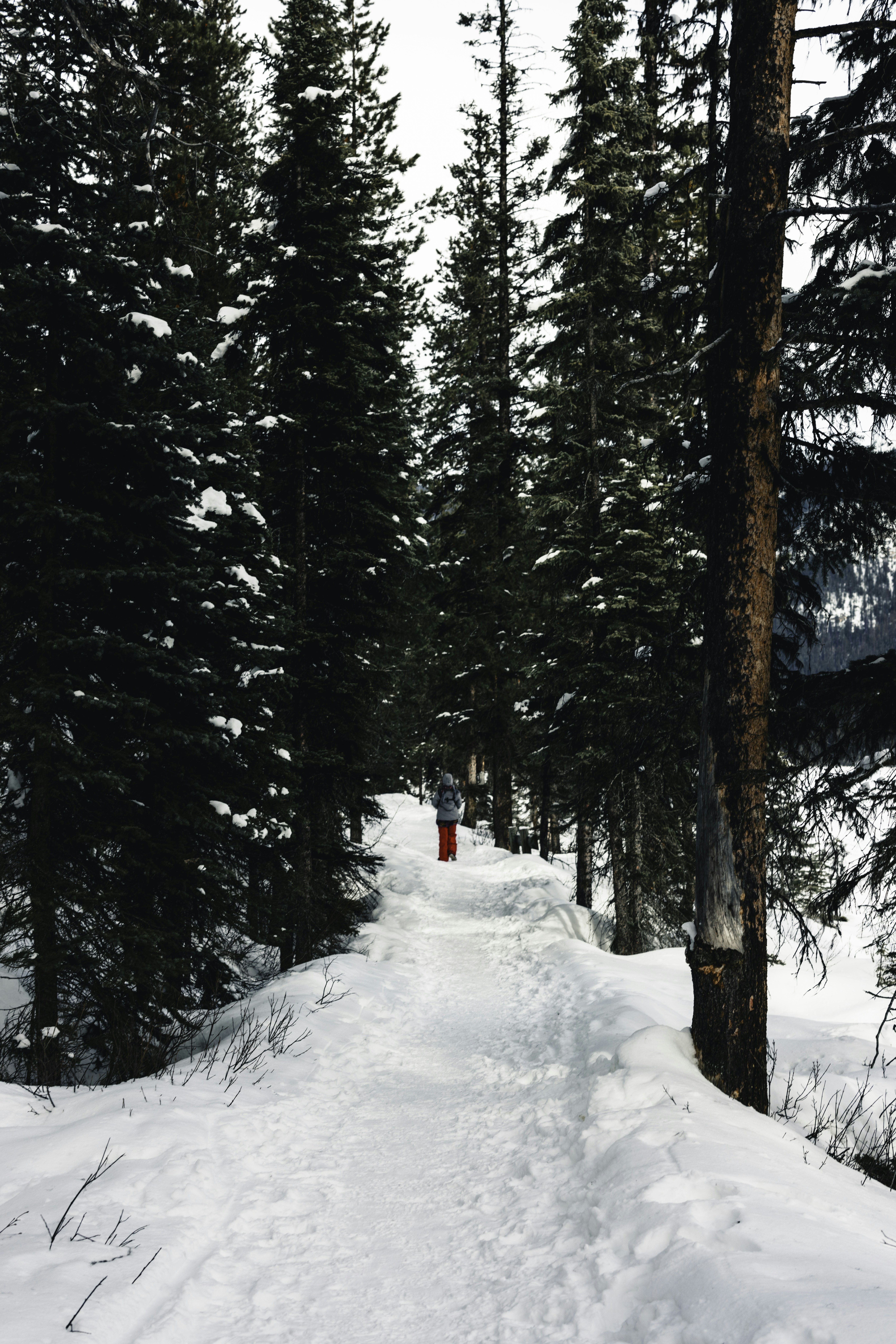 Photo by lureofadventure