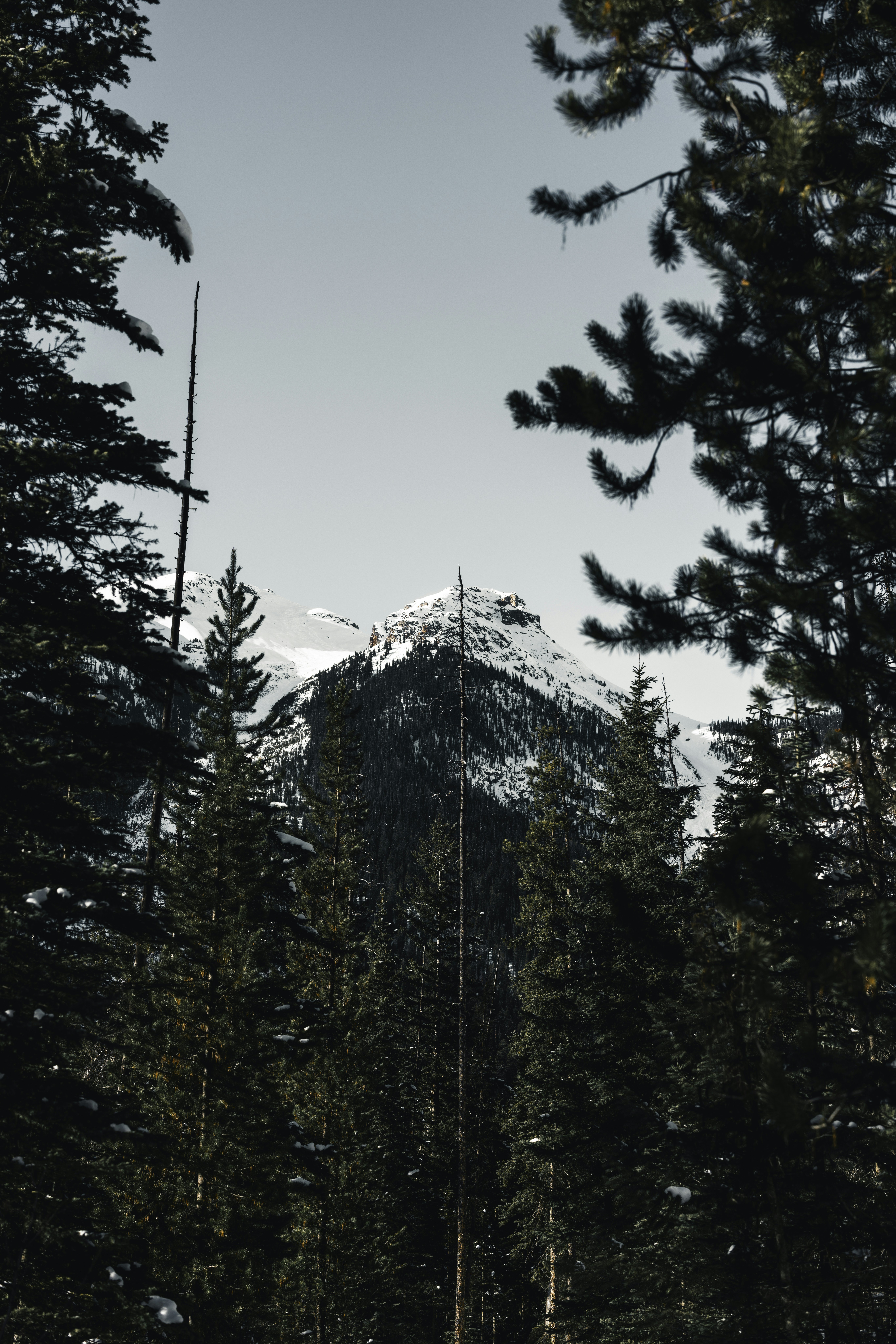 Photo by lureofadventure