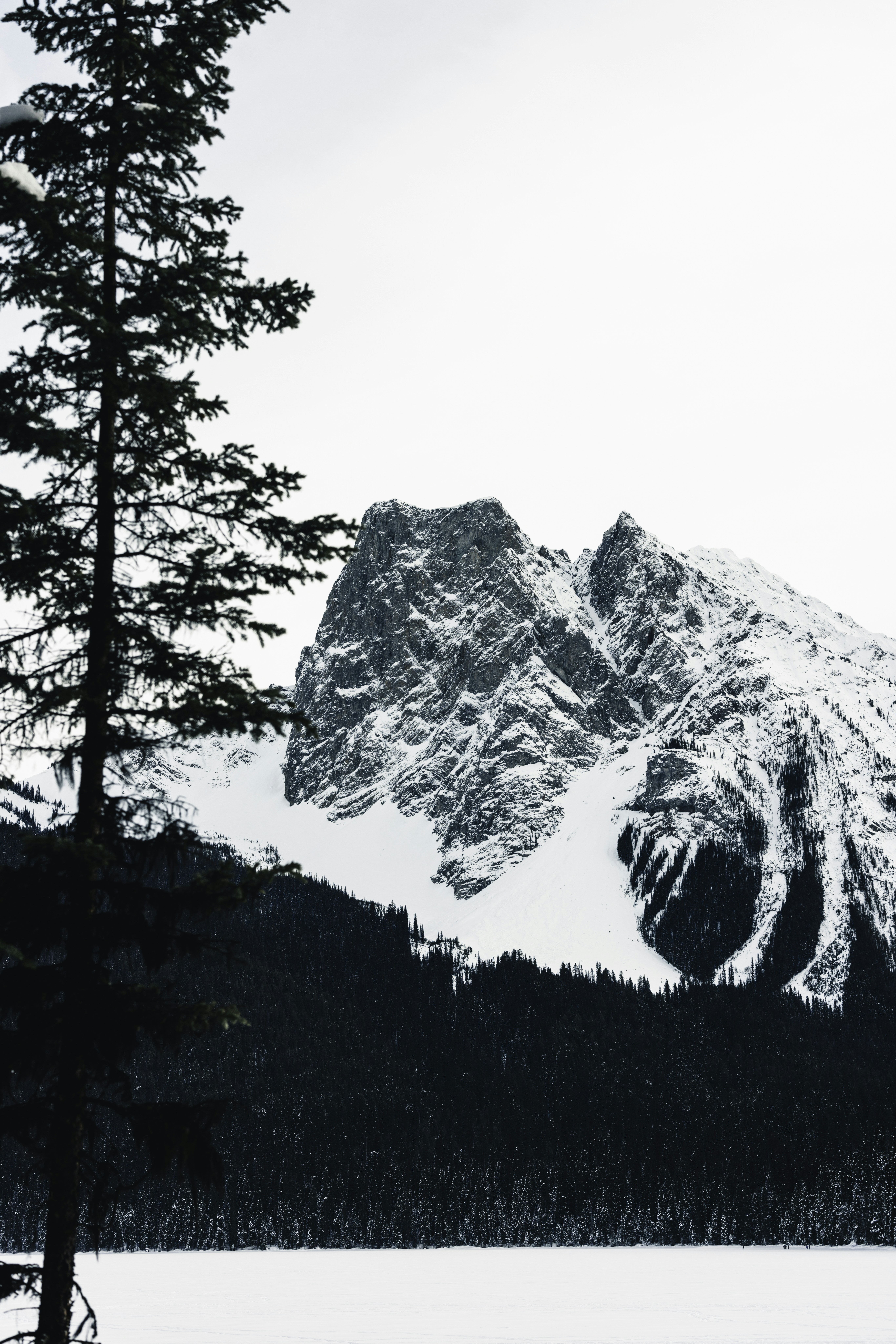 Photo by lureofadventure