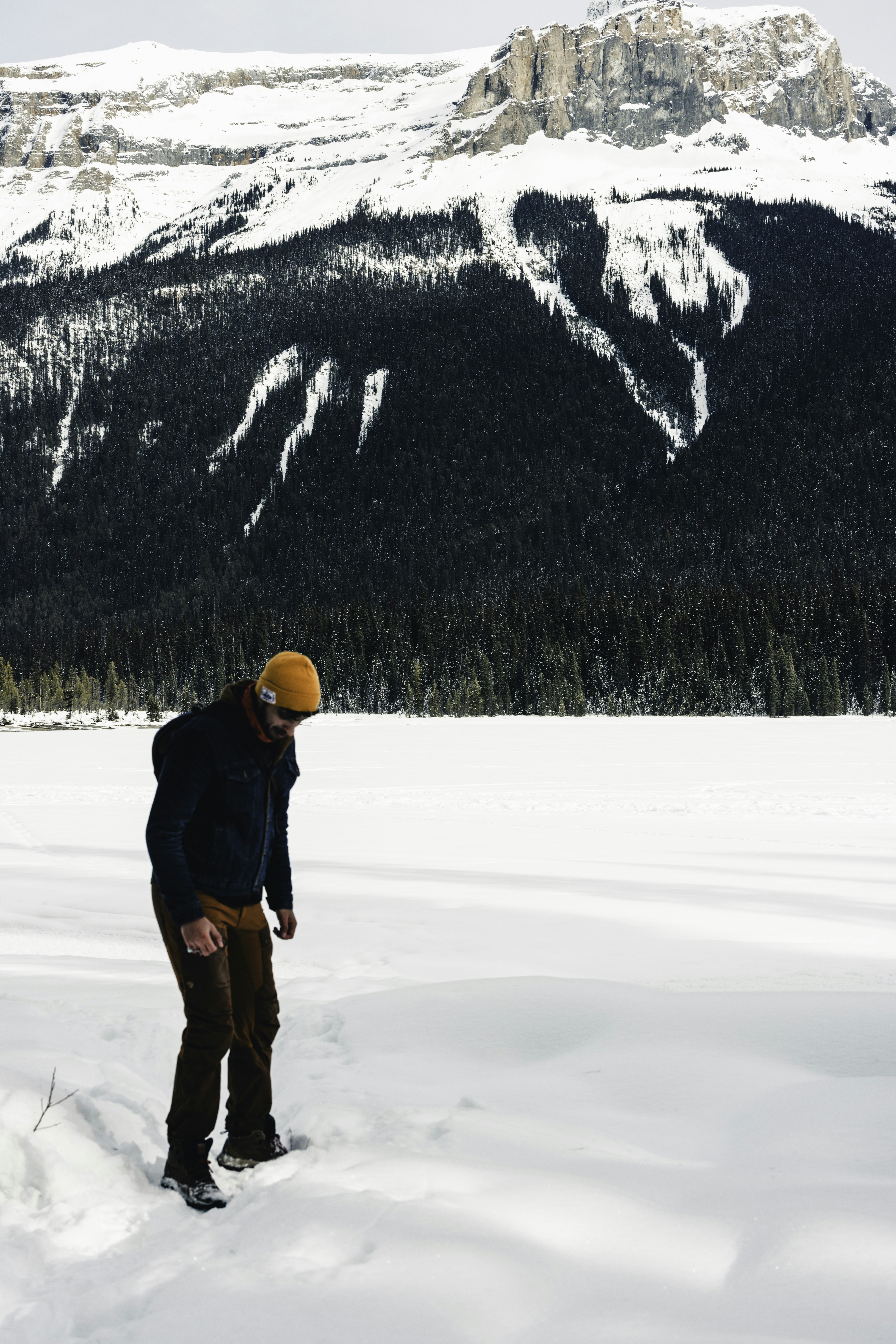 Photo by lureofadventure