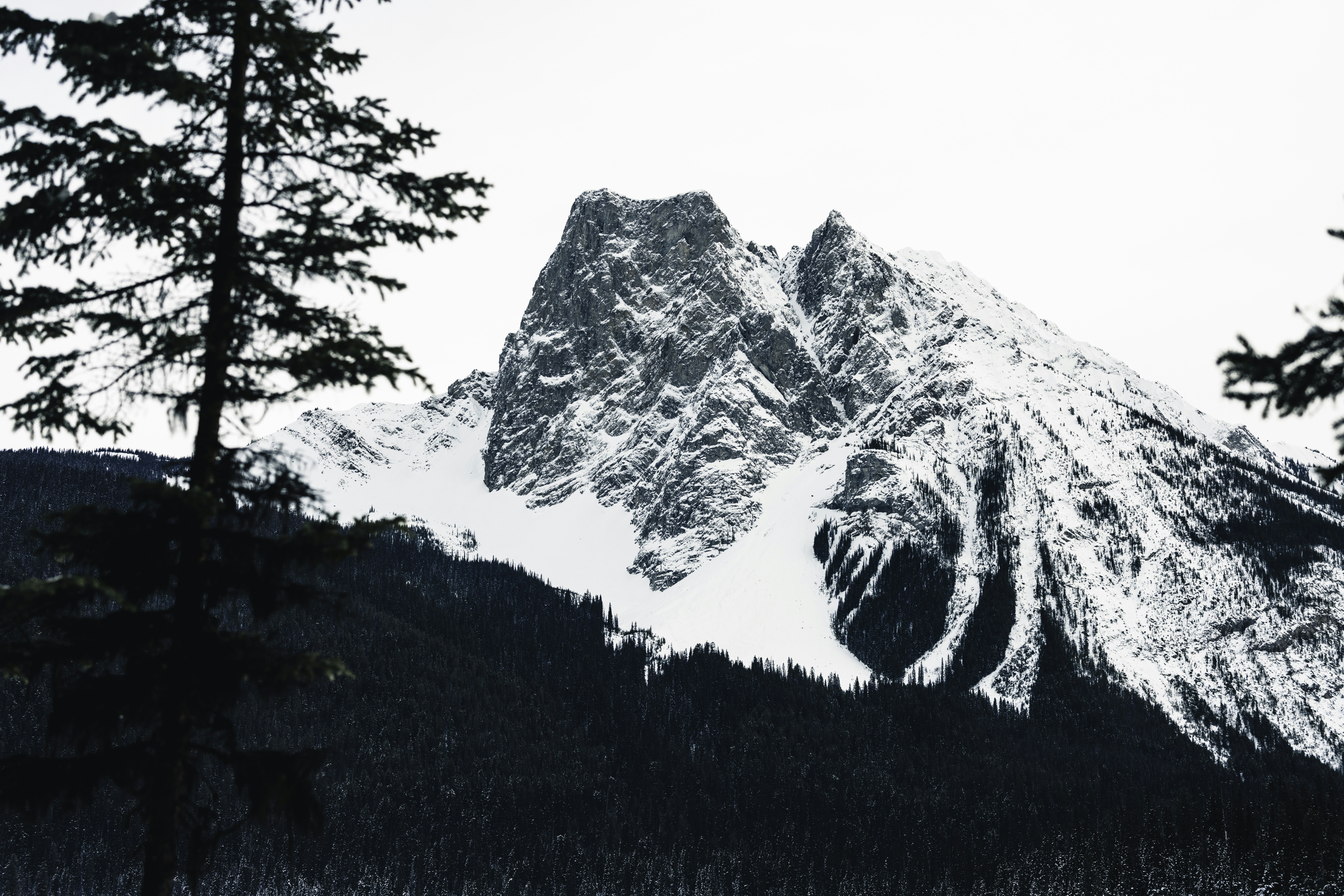 Photo by lureofadventure