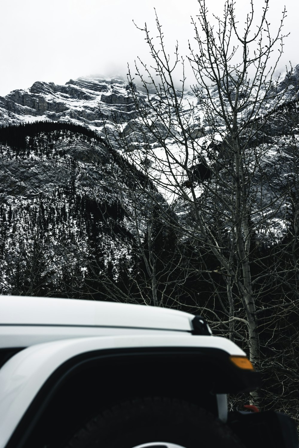 Un camión blanco estacionado frente a una montaña cubierta de nieve