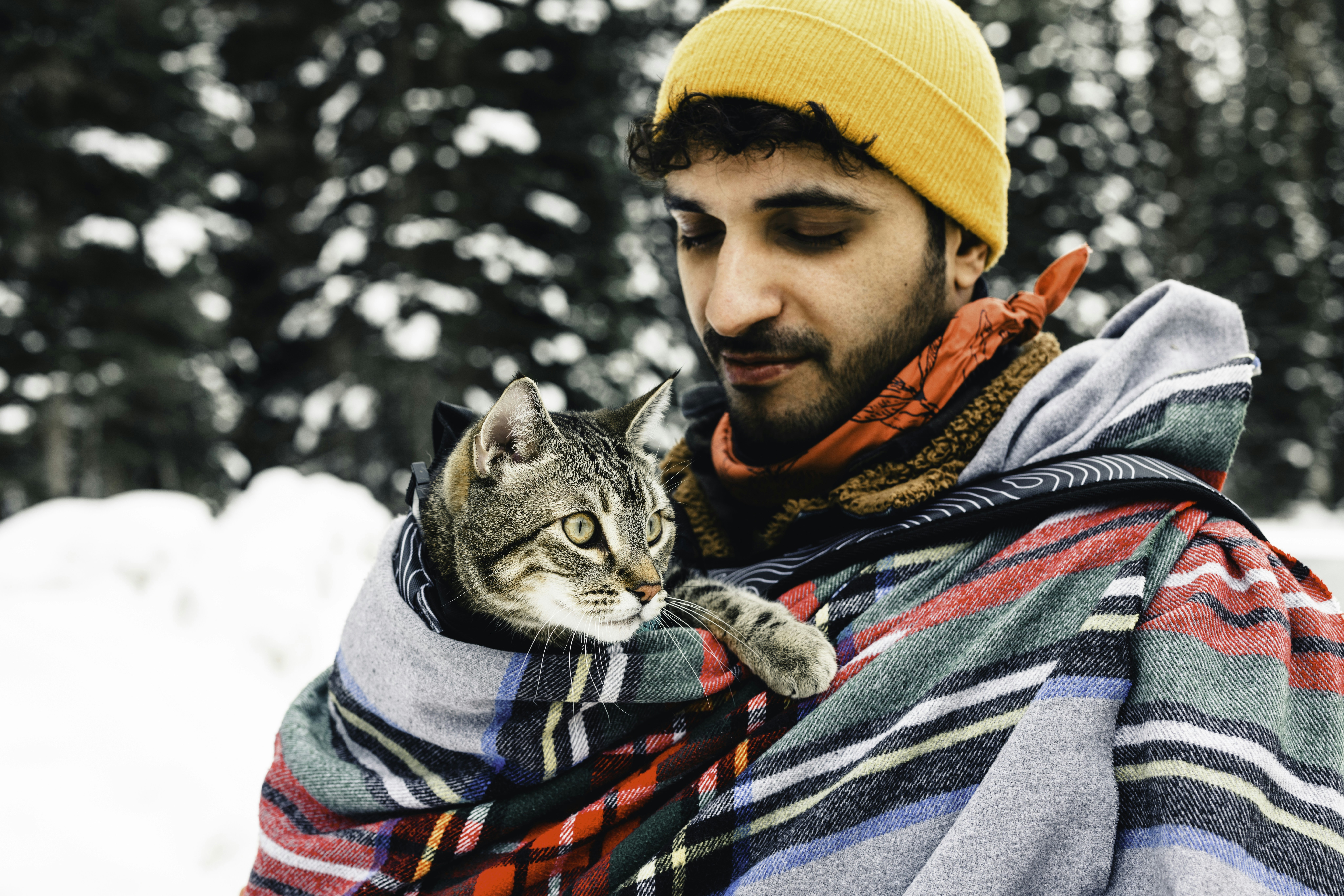 Cat Spay and Neuter in Canada