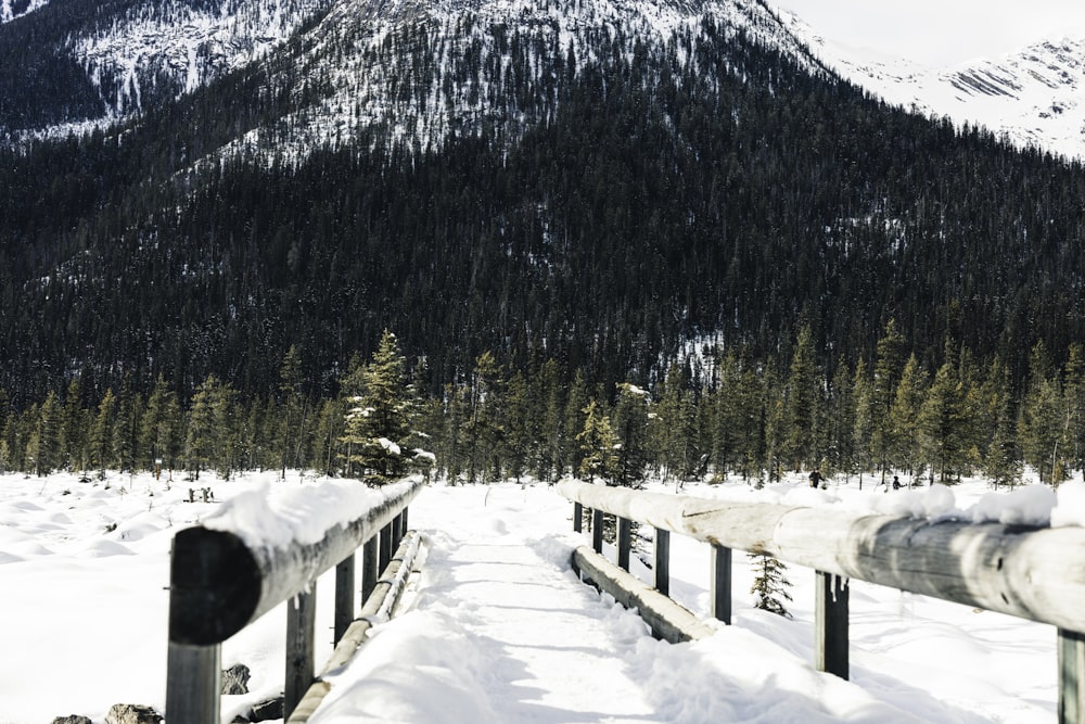 uma ponte coberta de neve com uma montanha ao fundo