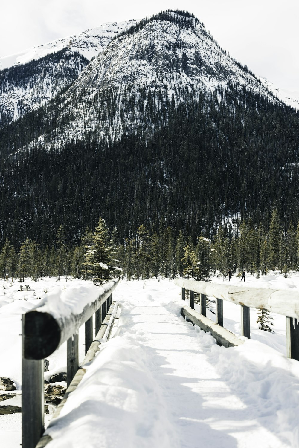 a snow covered road with a mountain in the background