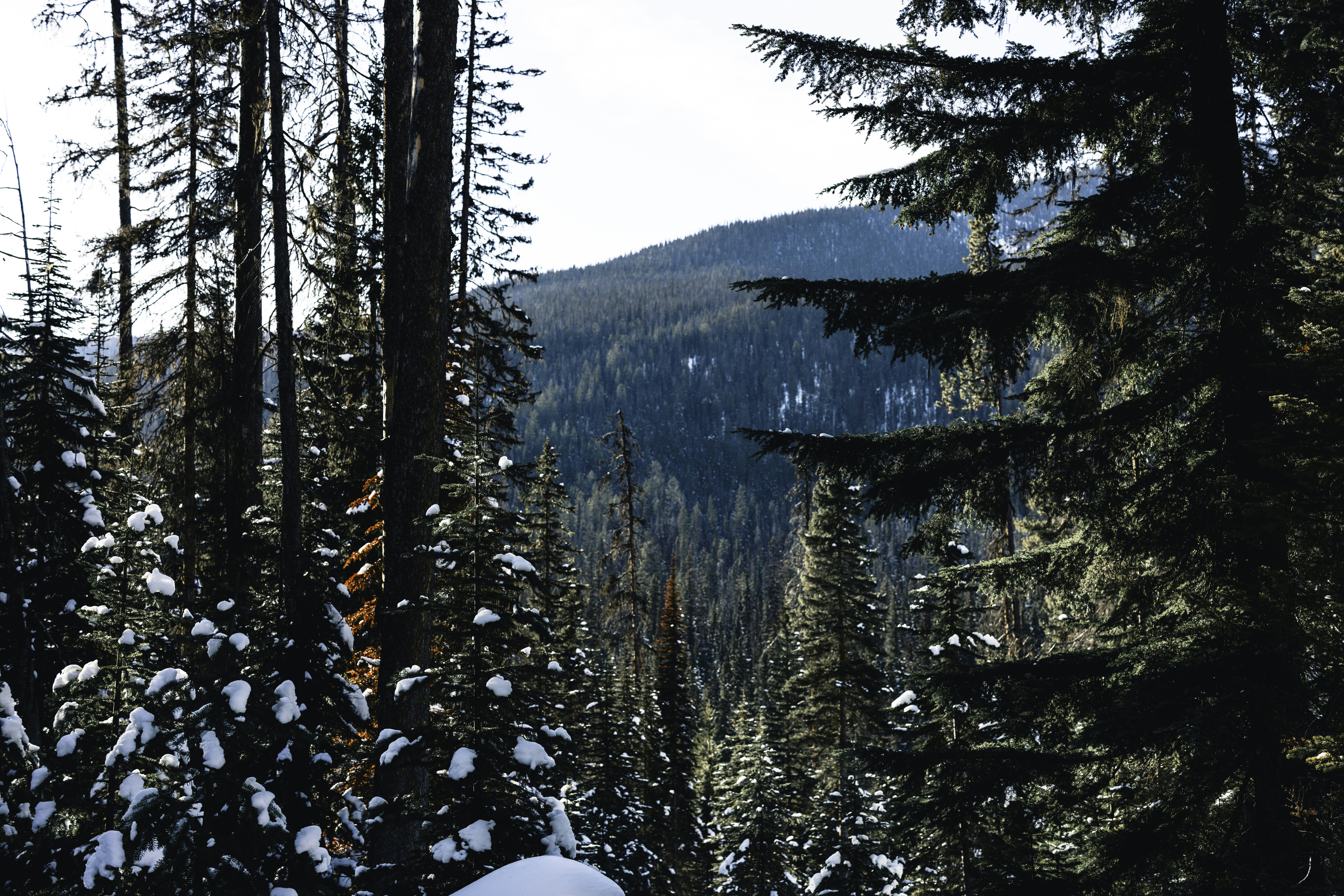 Photo by lureofadventure