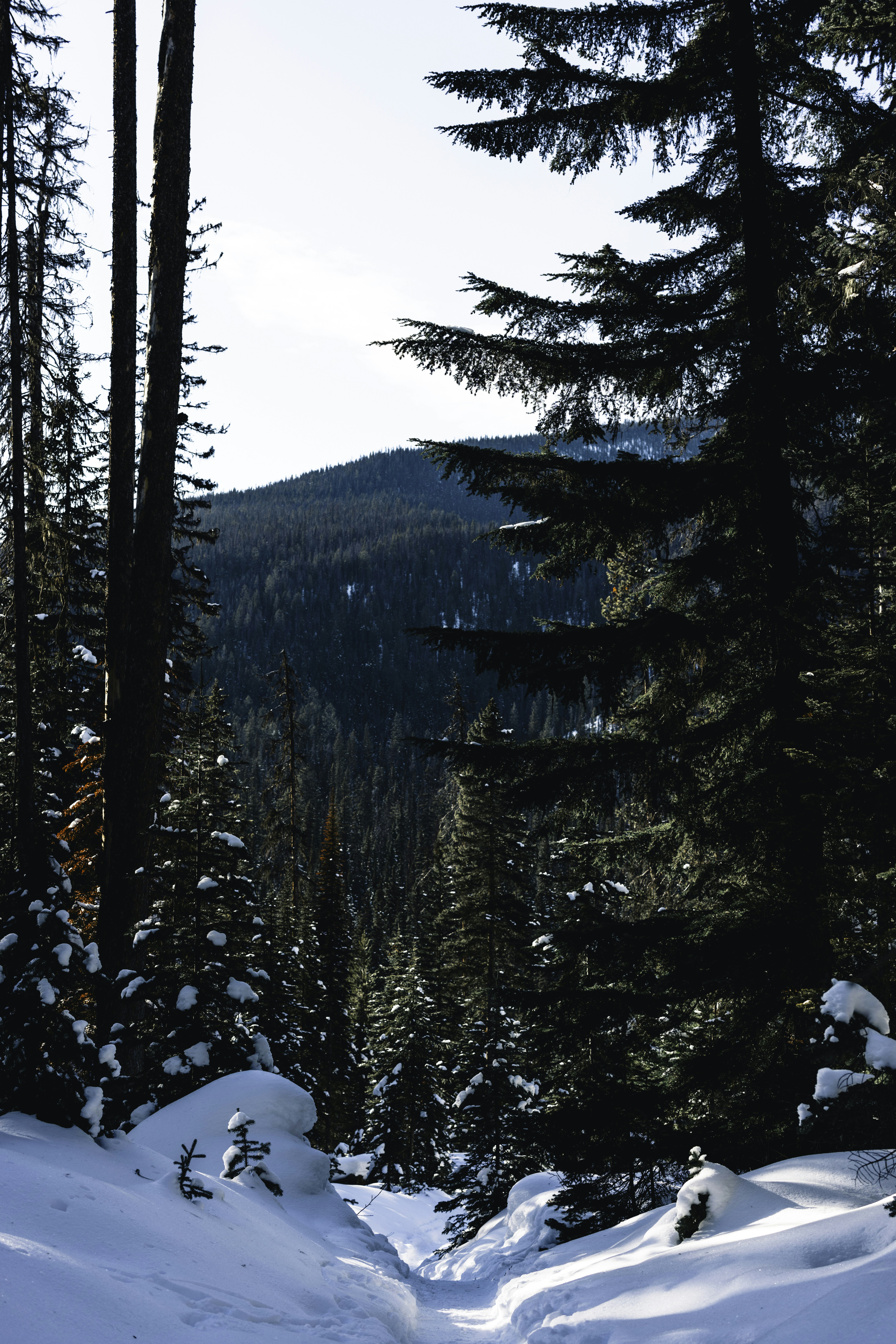 Photo by lureofadventure